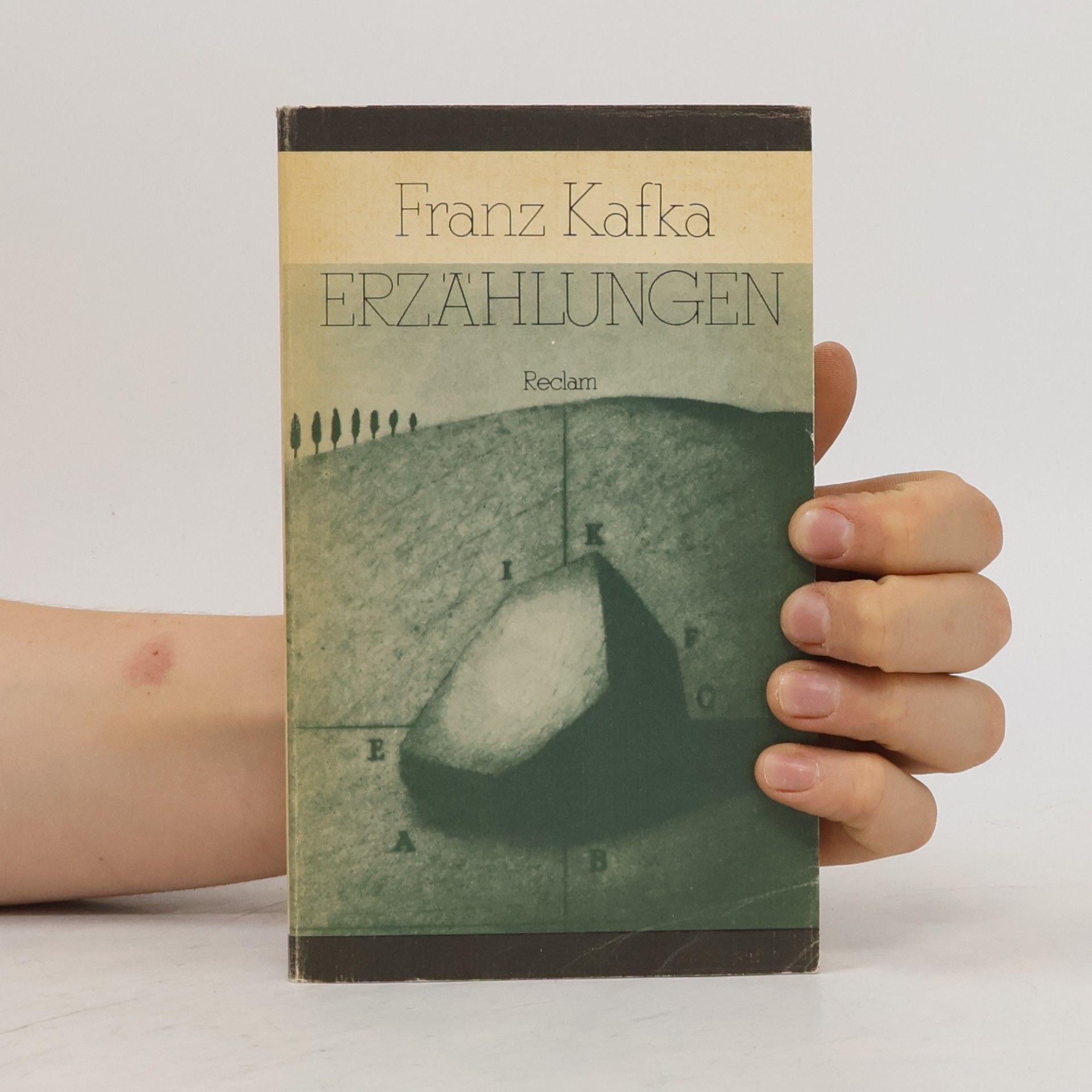 Franz Kafka Erzählungen