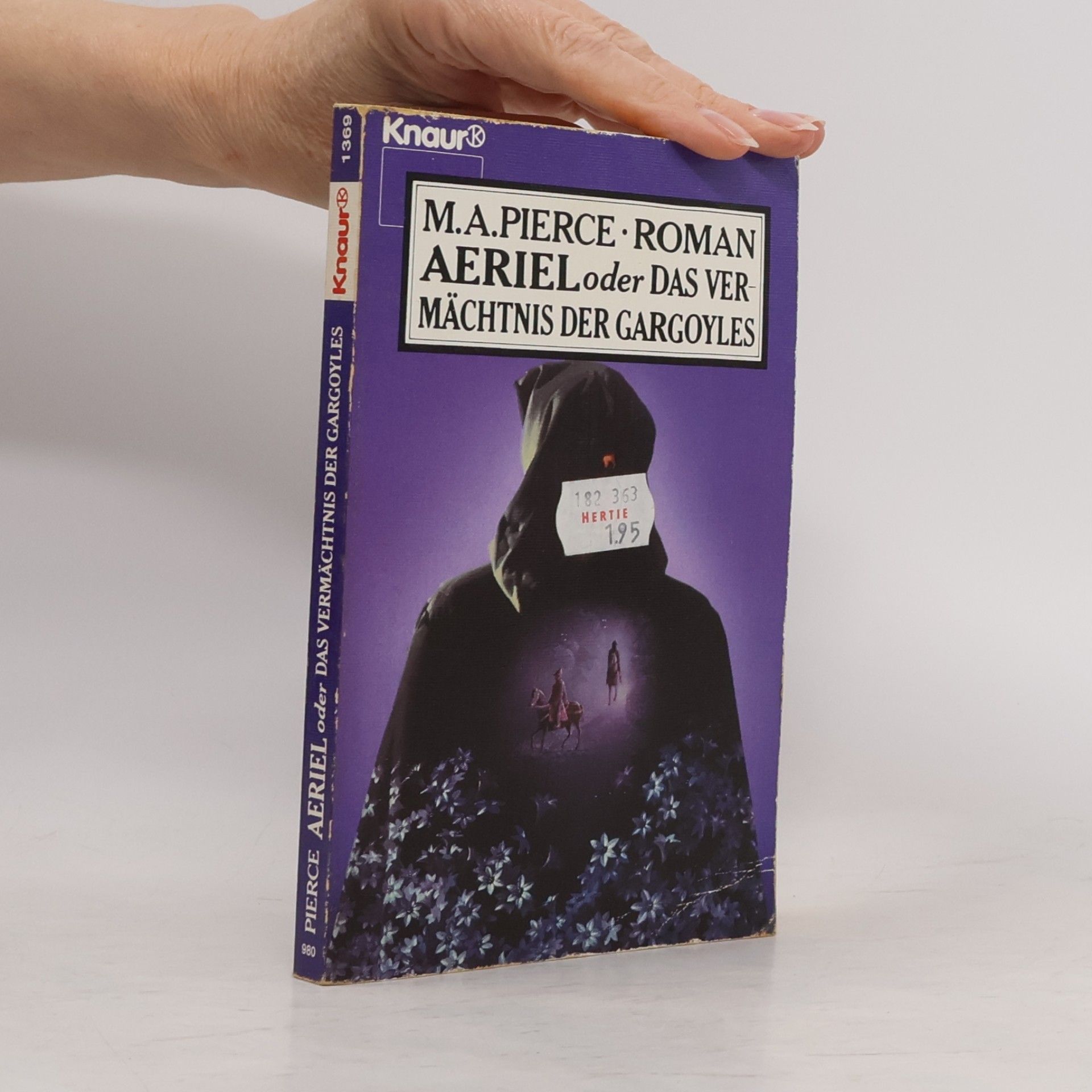 Meredith Ann Pierce Engel der Nacht - 2: Aeriel oder Das Vermächtnis der Gargoyles. Fantasy-Roman