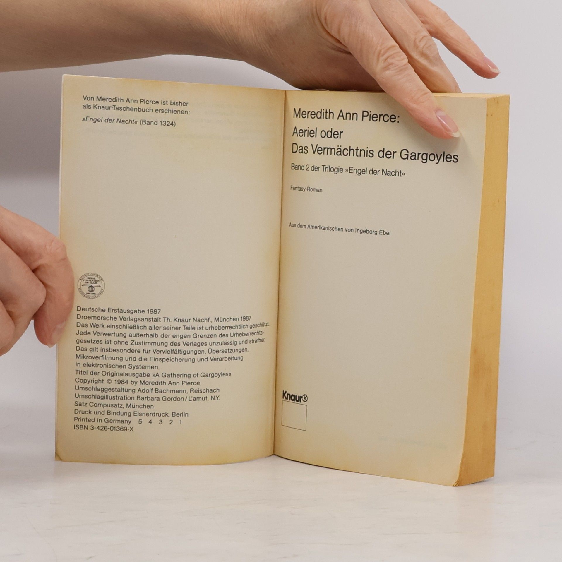 Meredith Ann Pierce Engel der Nacht - 2: Aeriel oder Das Vermächtnis der Gargoyles. Fantasy-Roman