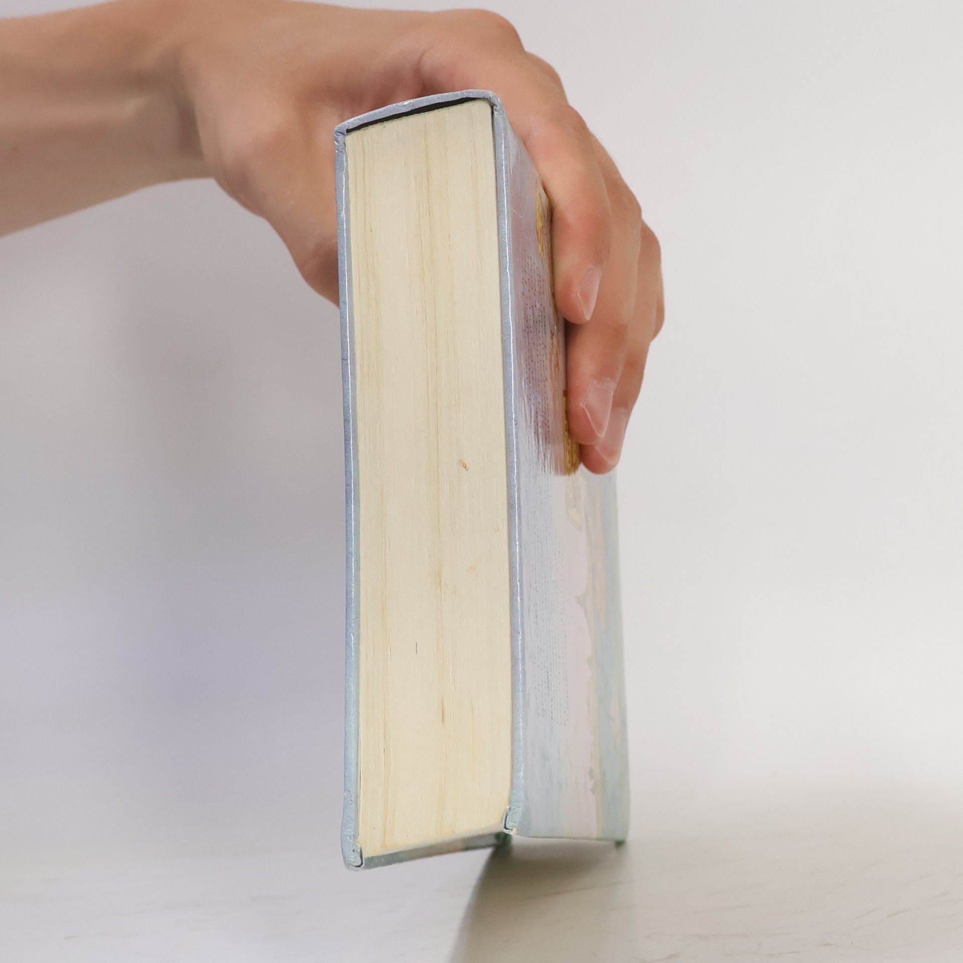 Uta Kiegeland Leselöwen-Schülerbuch