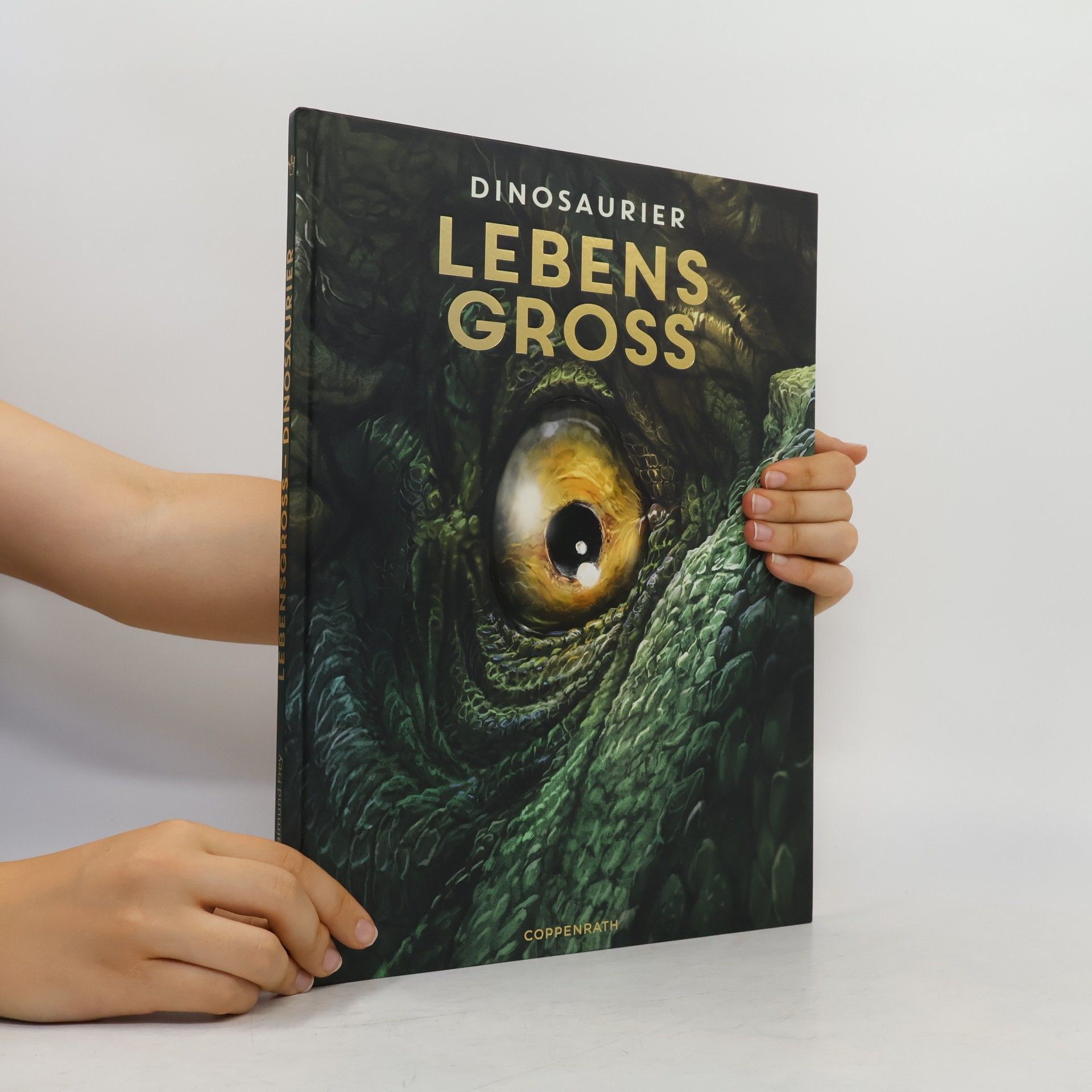 Raimund Frey-Spieker Lebensgroß