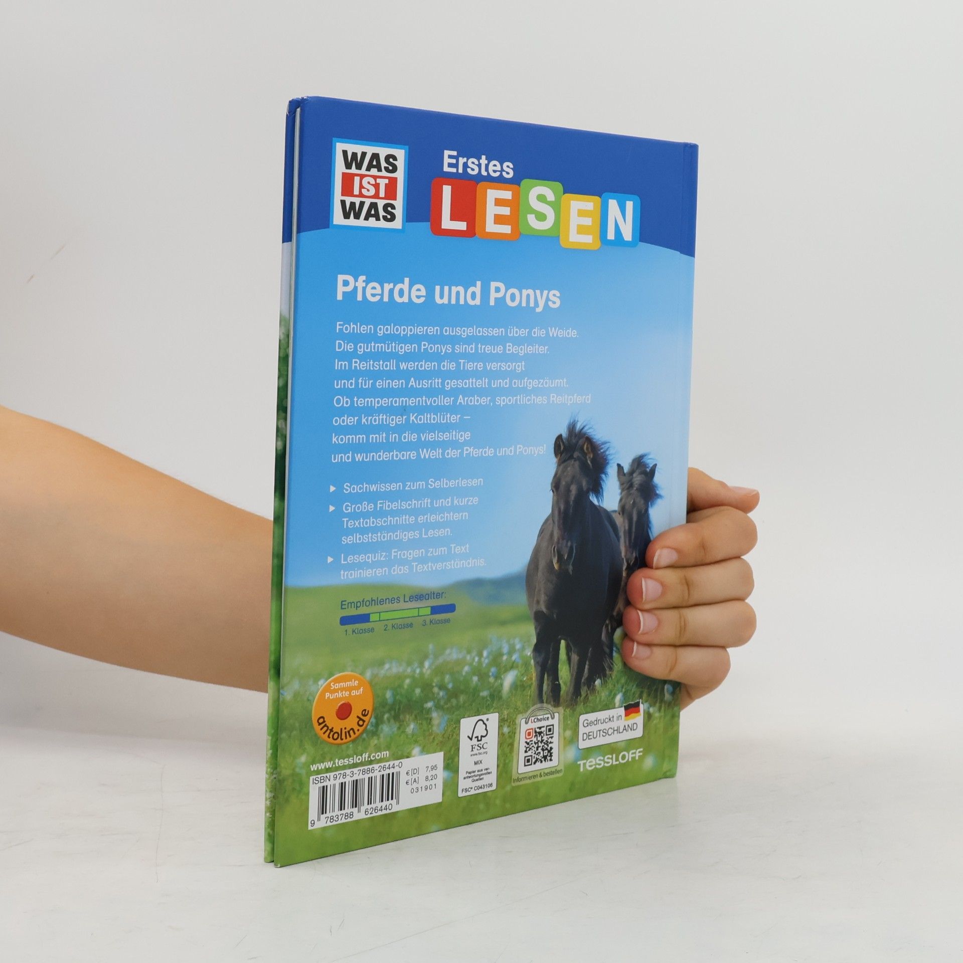 Christina Braun Pferde und Ponys