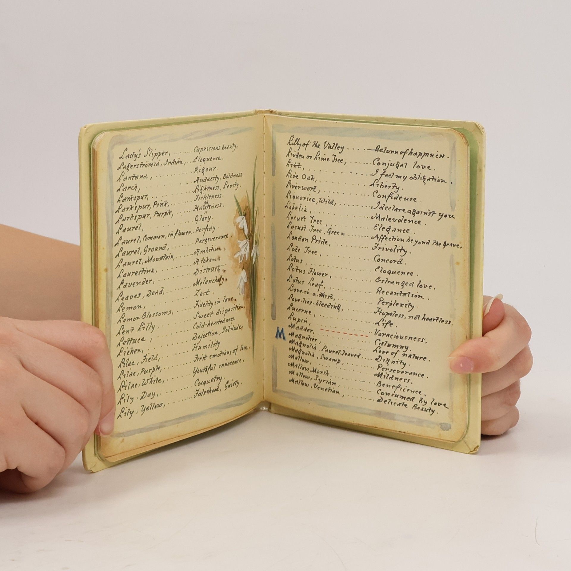 Margaret Pickston The Language of Flowers