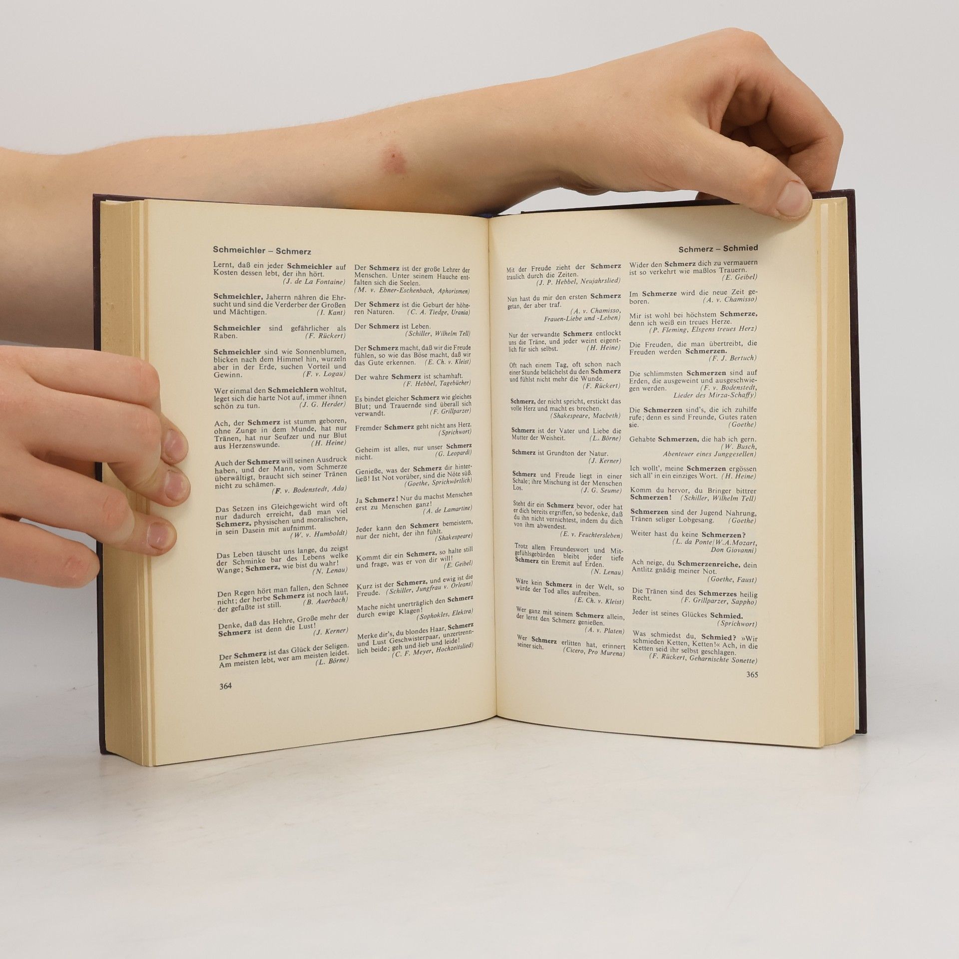 Gerhard Hellwig Das grosse Buch der Zitate