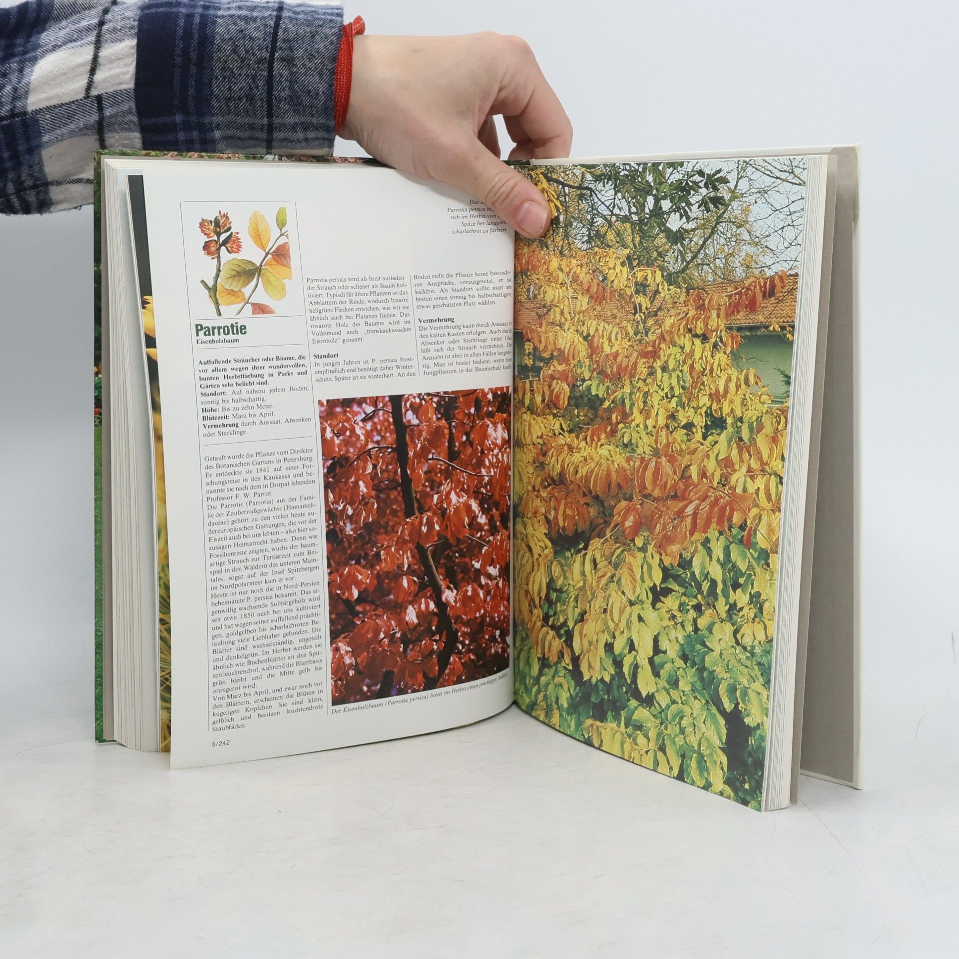 Kolektív autorov Blumen und Garten 5