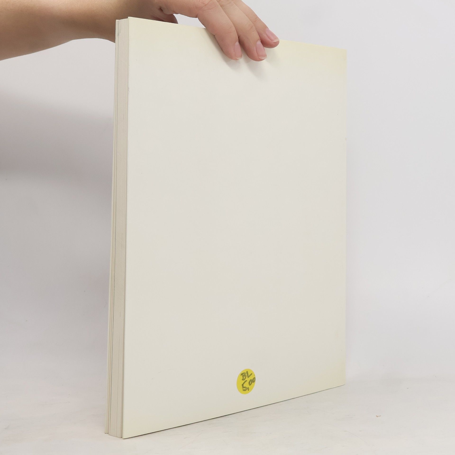 Autorenkollektiv Saasu Staatsgalerie moderner Kunst