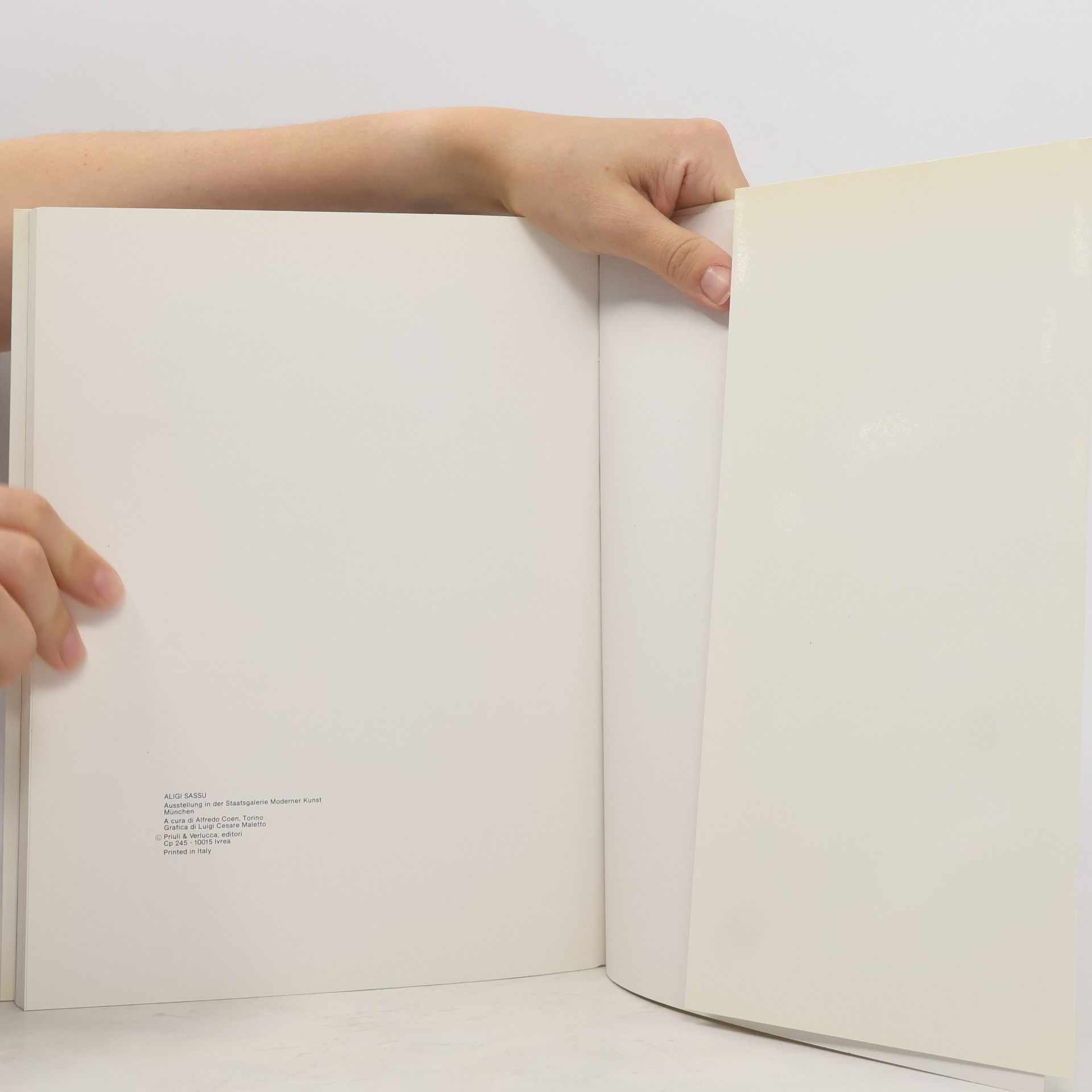 Autorenkollektiv Saasu Staatsgalerie moderner Kunst