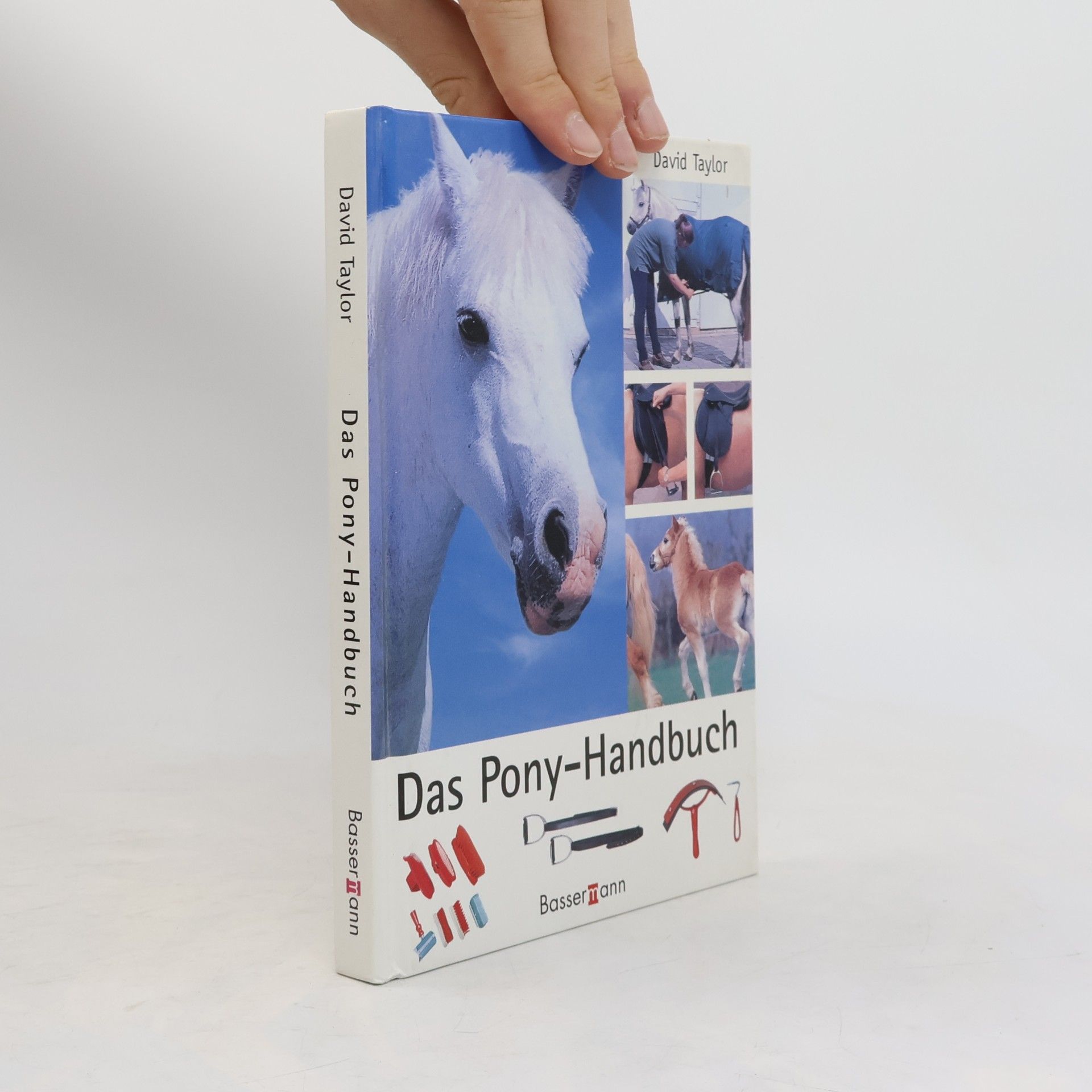 Ivana Jokl Das Pony-Handbuch