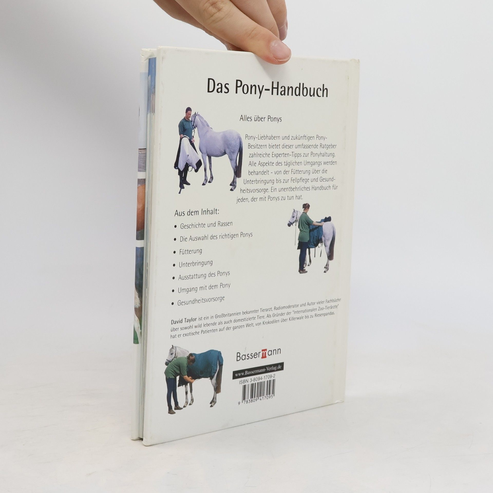 David Taylor Das Pony-Handbuch