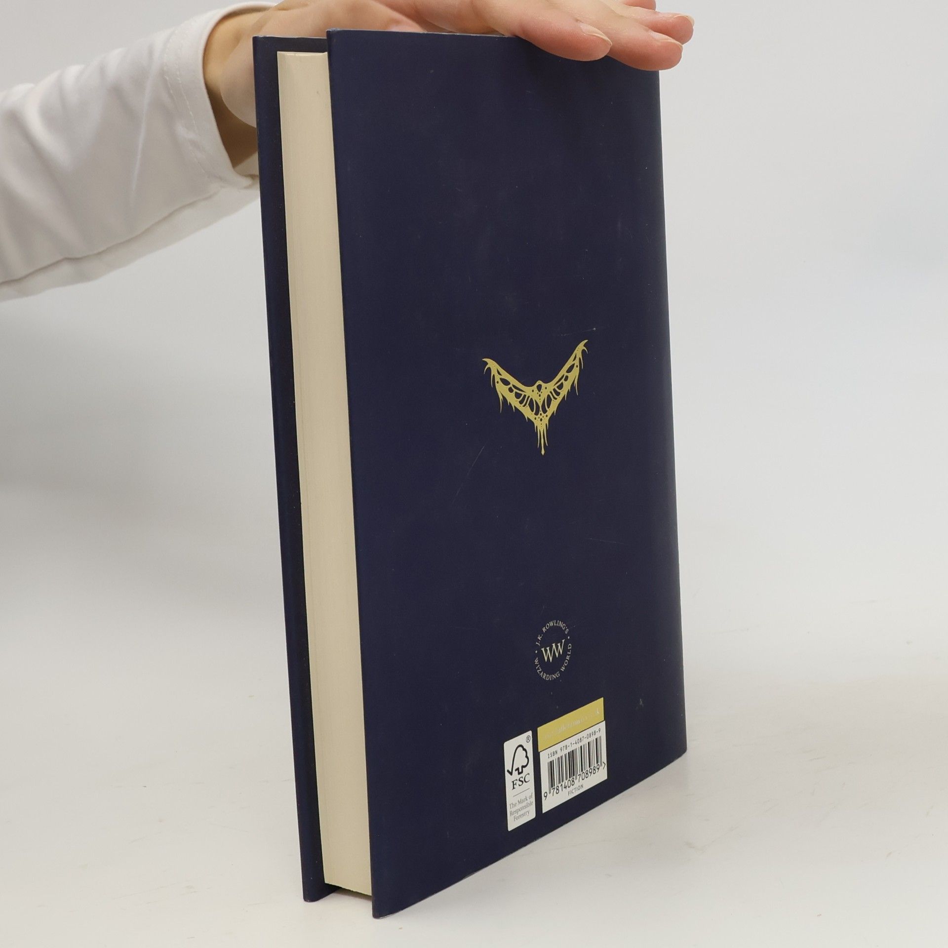 J. K. Rowling Fantastic Beasts And Where to Find Them