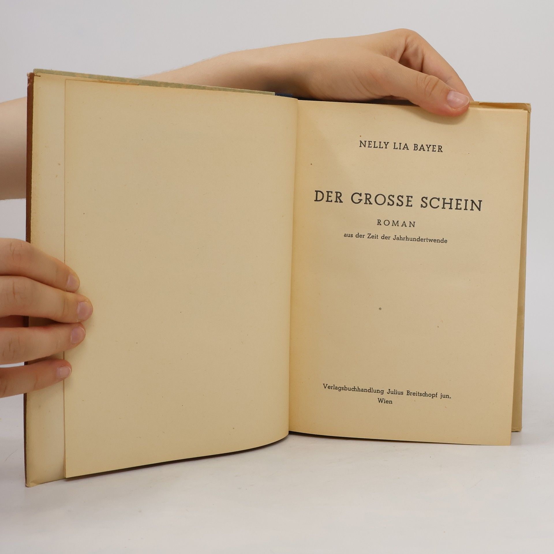 Nelly Lia Bayer Der grosse Schein