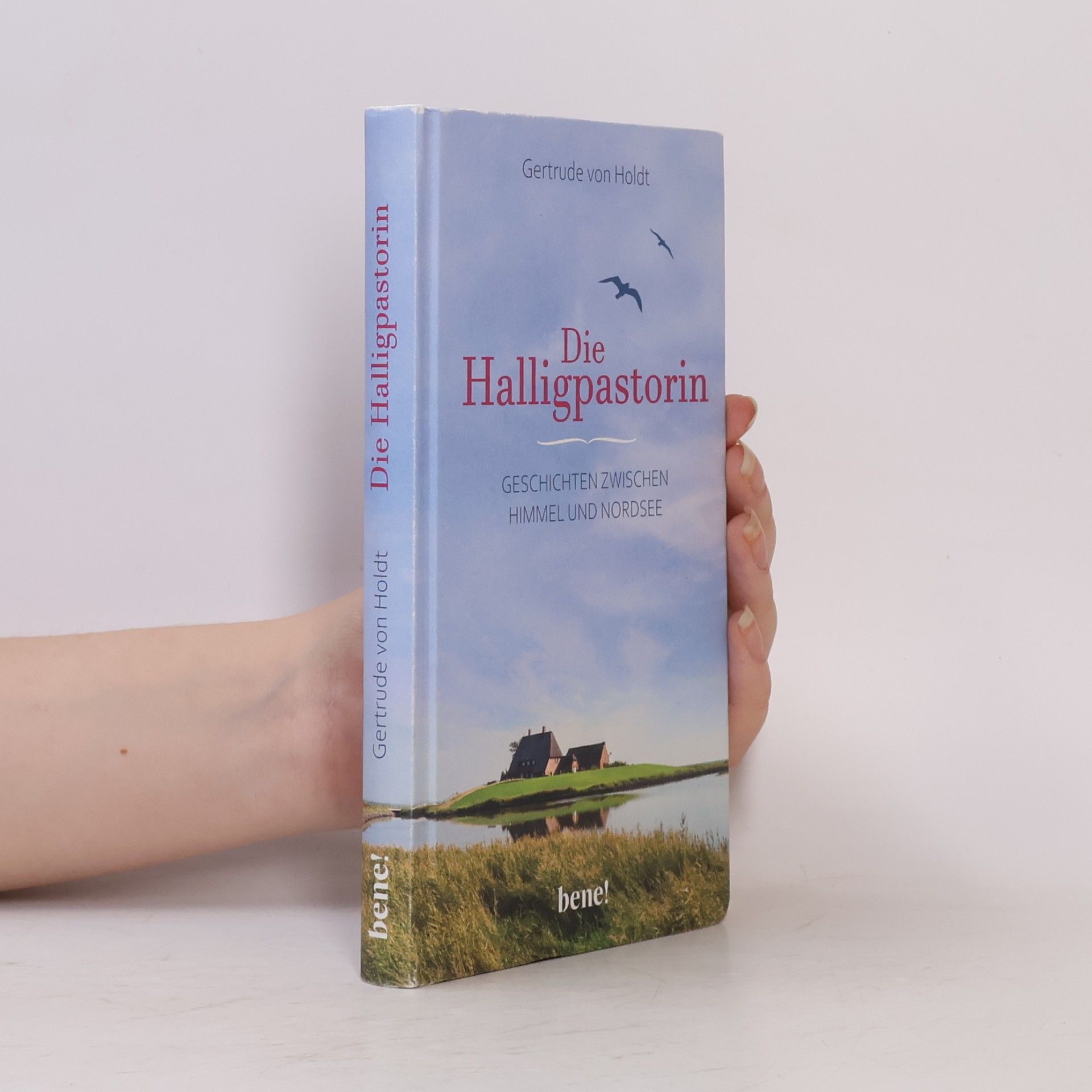 Gertrude von Holdt-Schermuly Die Halligpastorin