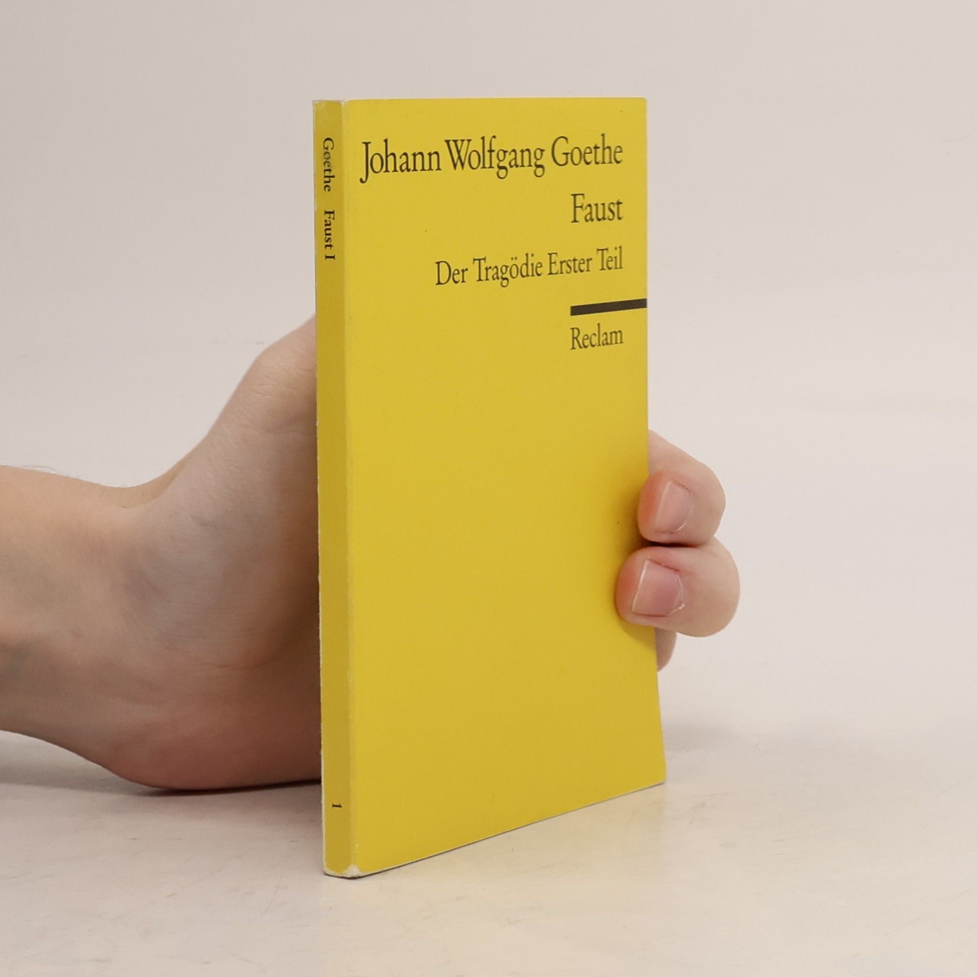 Johann Wolfgang von Goethe Faust : der Tragödie Erster teil