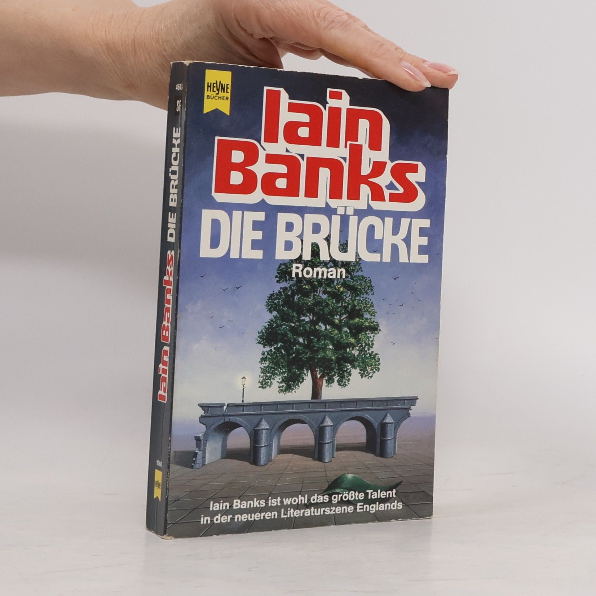 Iain Banks Die Brücke