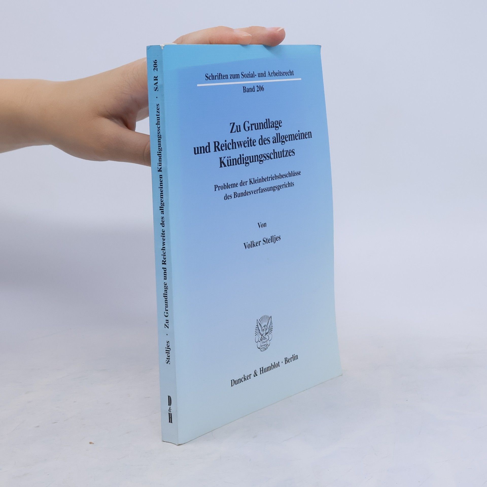 Volker Stelljes Schriften zum Sozial- und Arbeitsrecht - 206: Zu Grundlage und Reichweite des allgemeinen Kündigungsschutzes