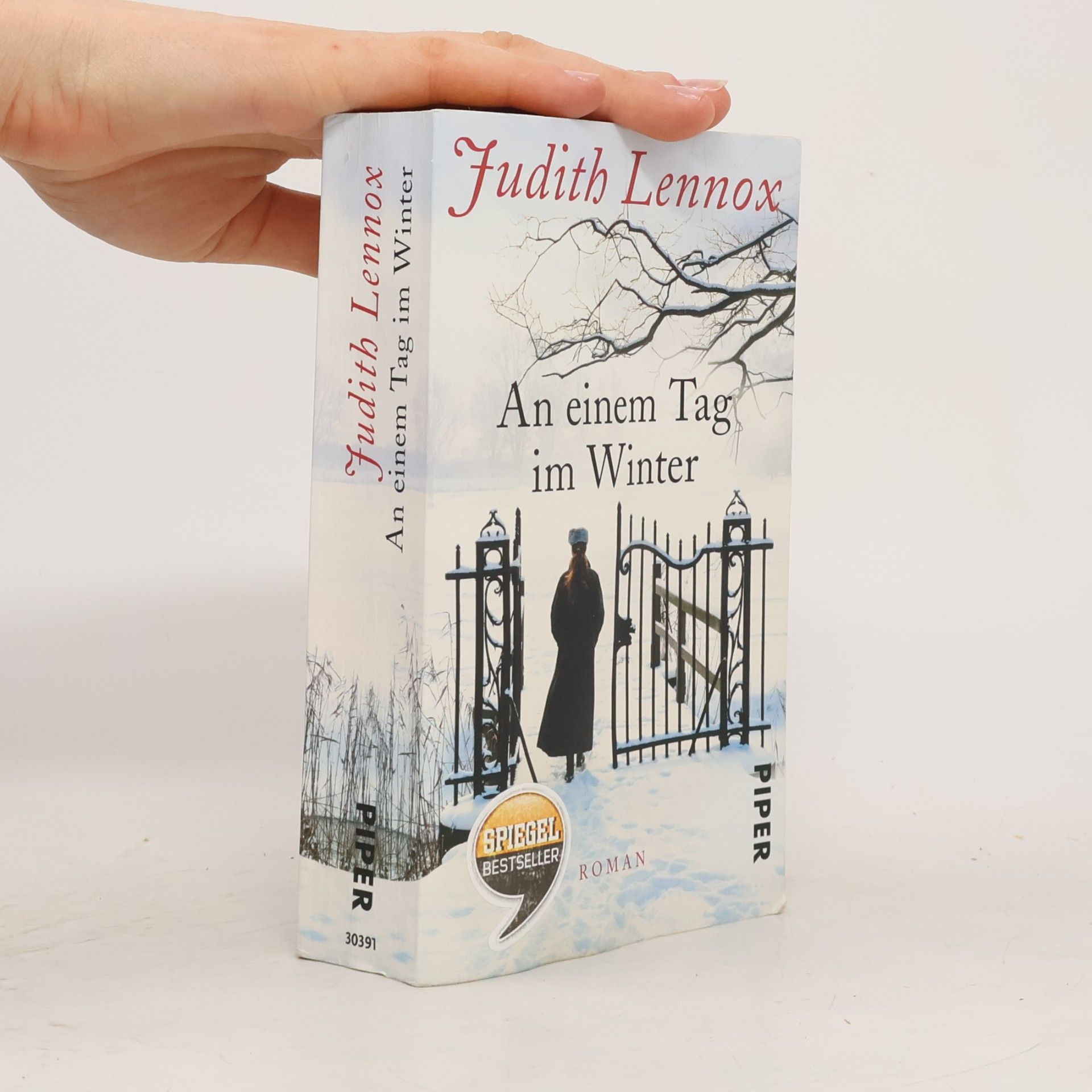 Judith Lennox An einem Tag im Winter