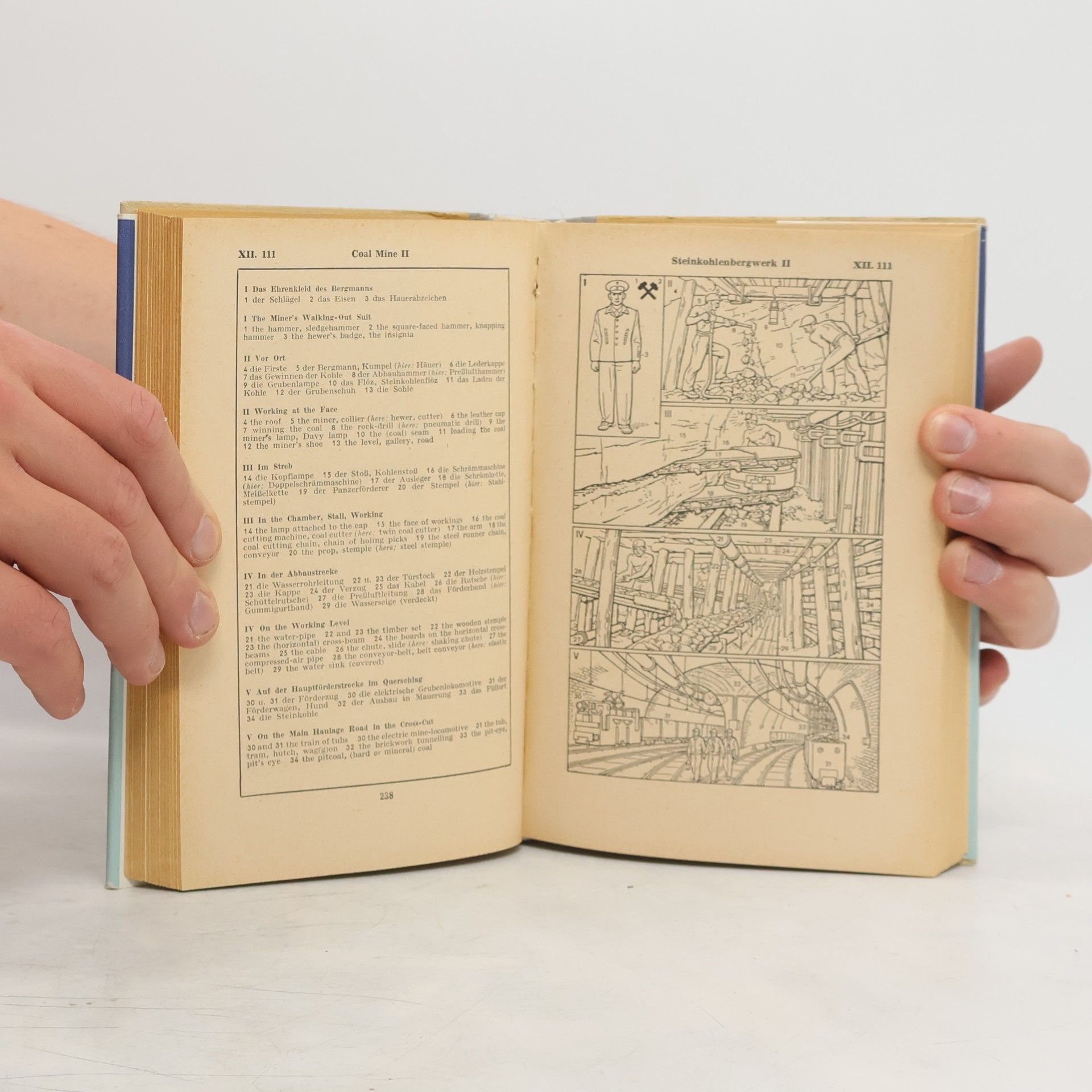 Autorenkollektiv Bildwörterbuch. Deutsch und Englisch