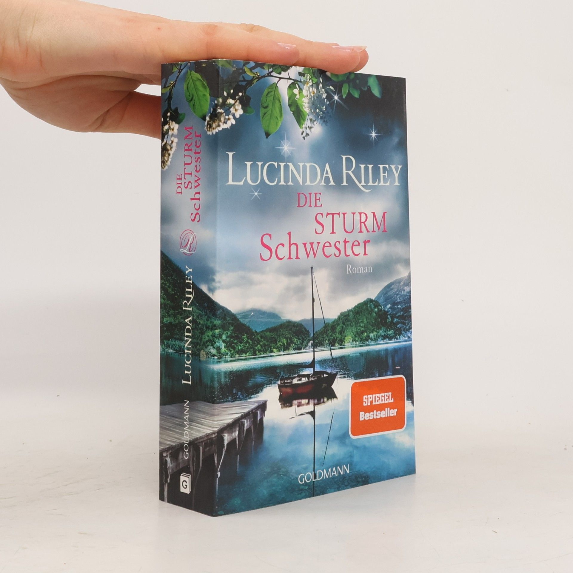 Lucinda Riley Die Sturmschwester