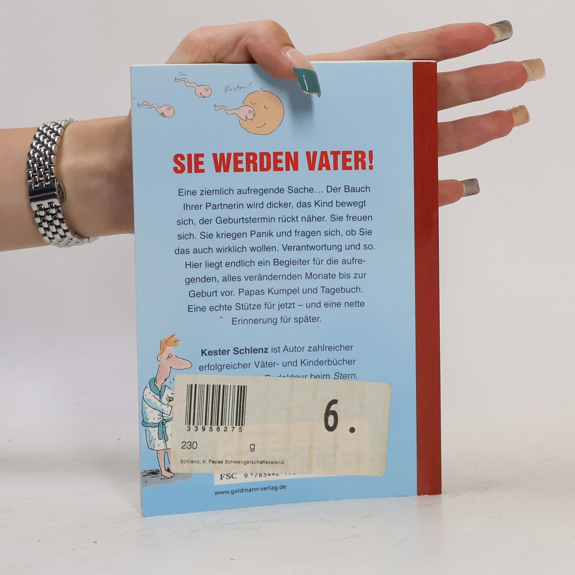 Kester Schlenz Papas Schwangerschaftskalender