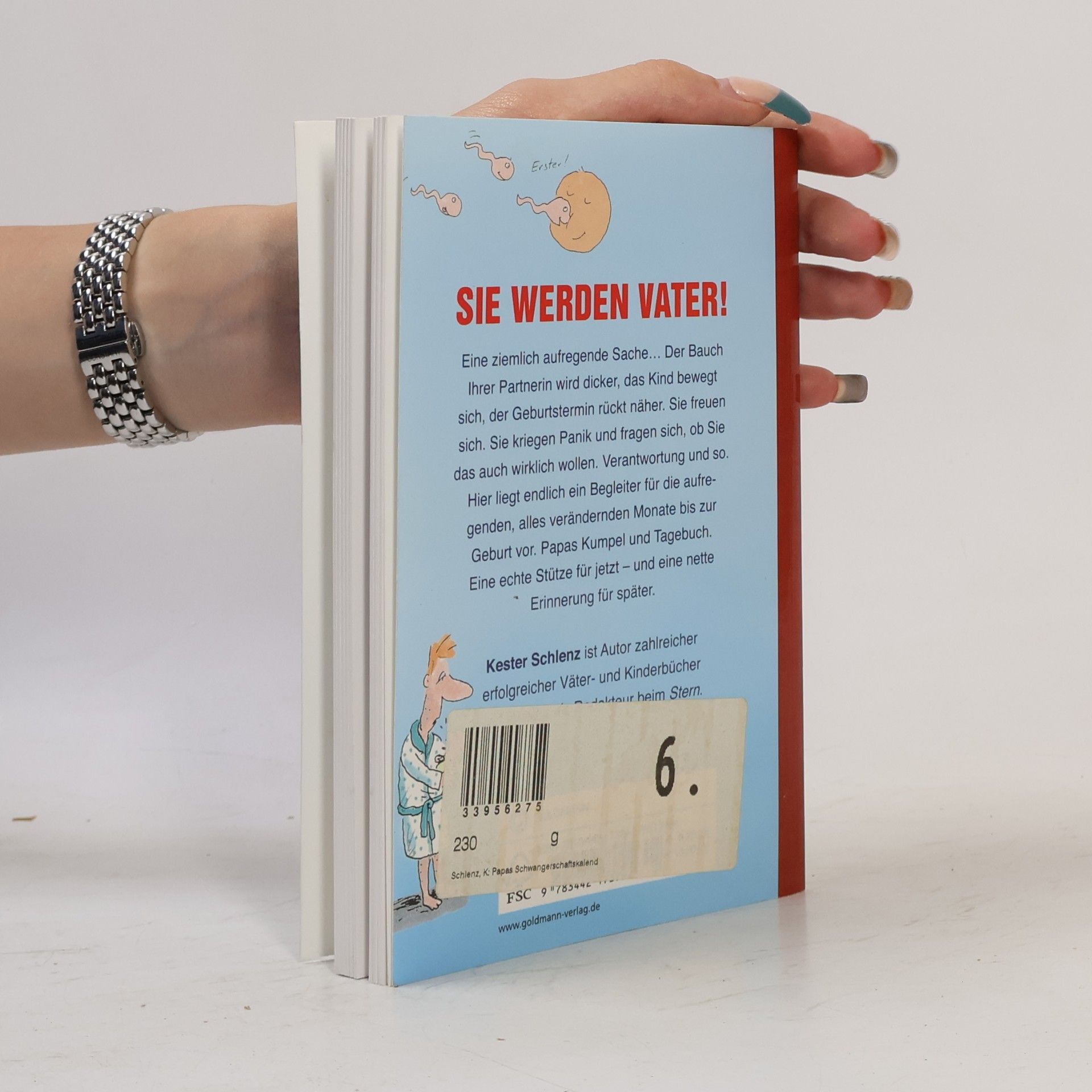 Kester Schlenz Papas Schwangerschaftskalender