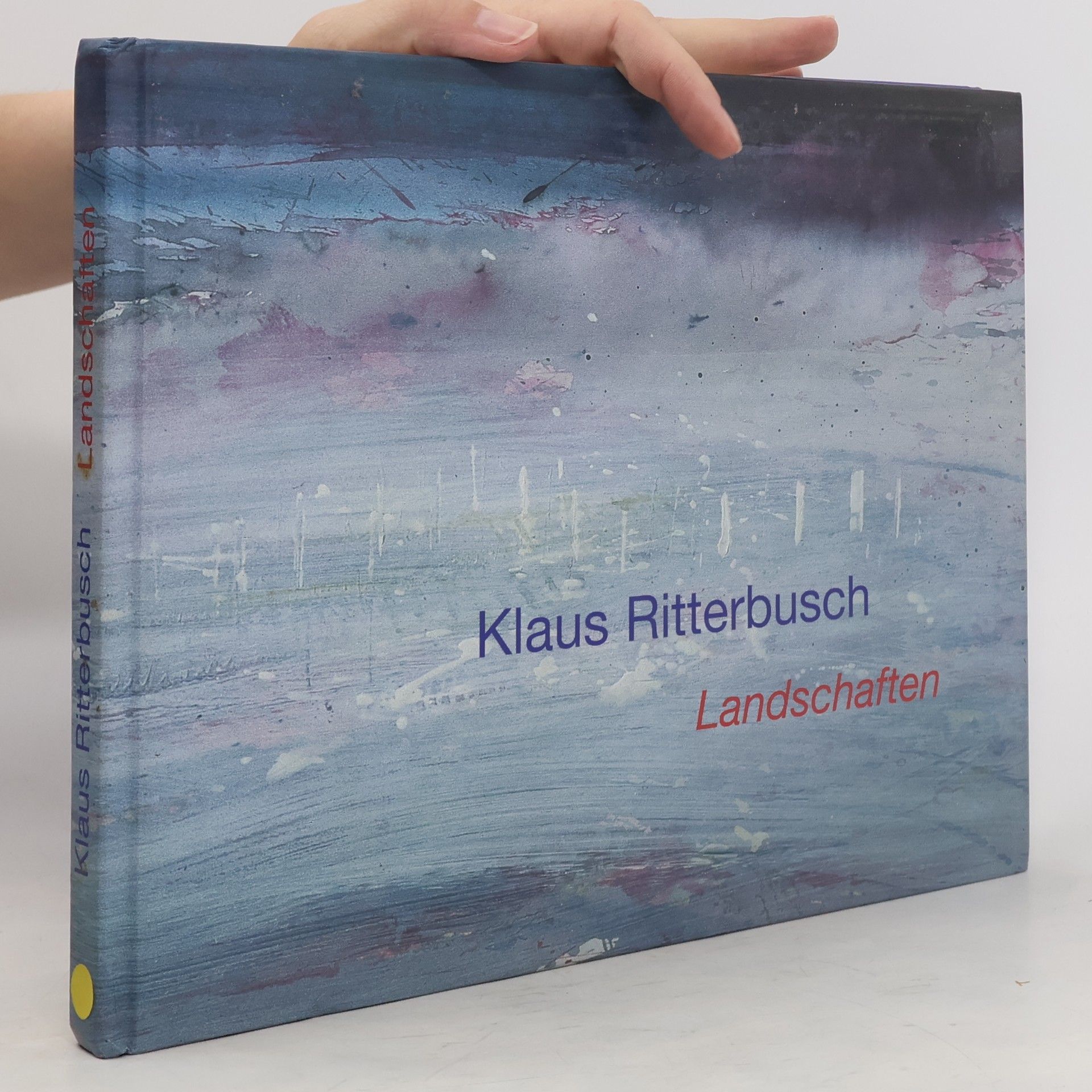 Klaus Ritterbusch. Landschaften