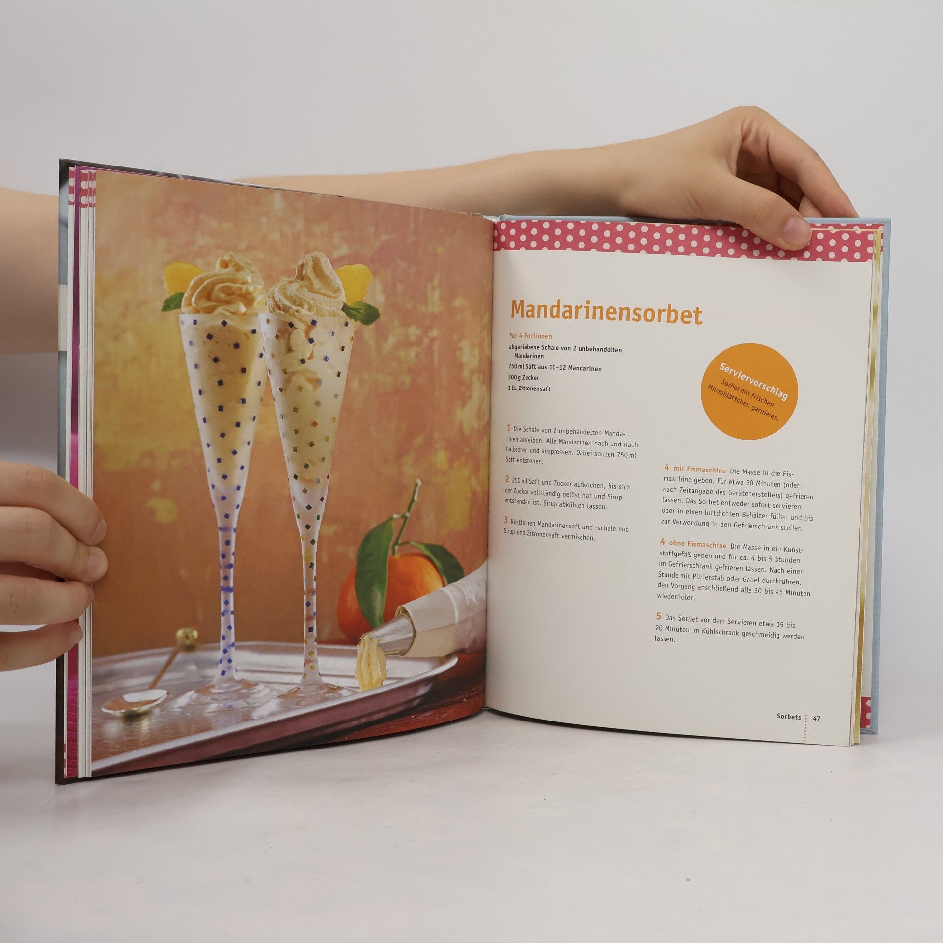 Gabriele Rosenbaum Eiscreme, Sorbet und Frozen Yogurt