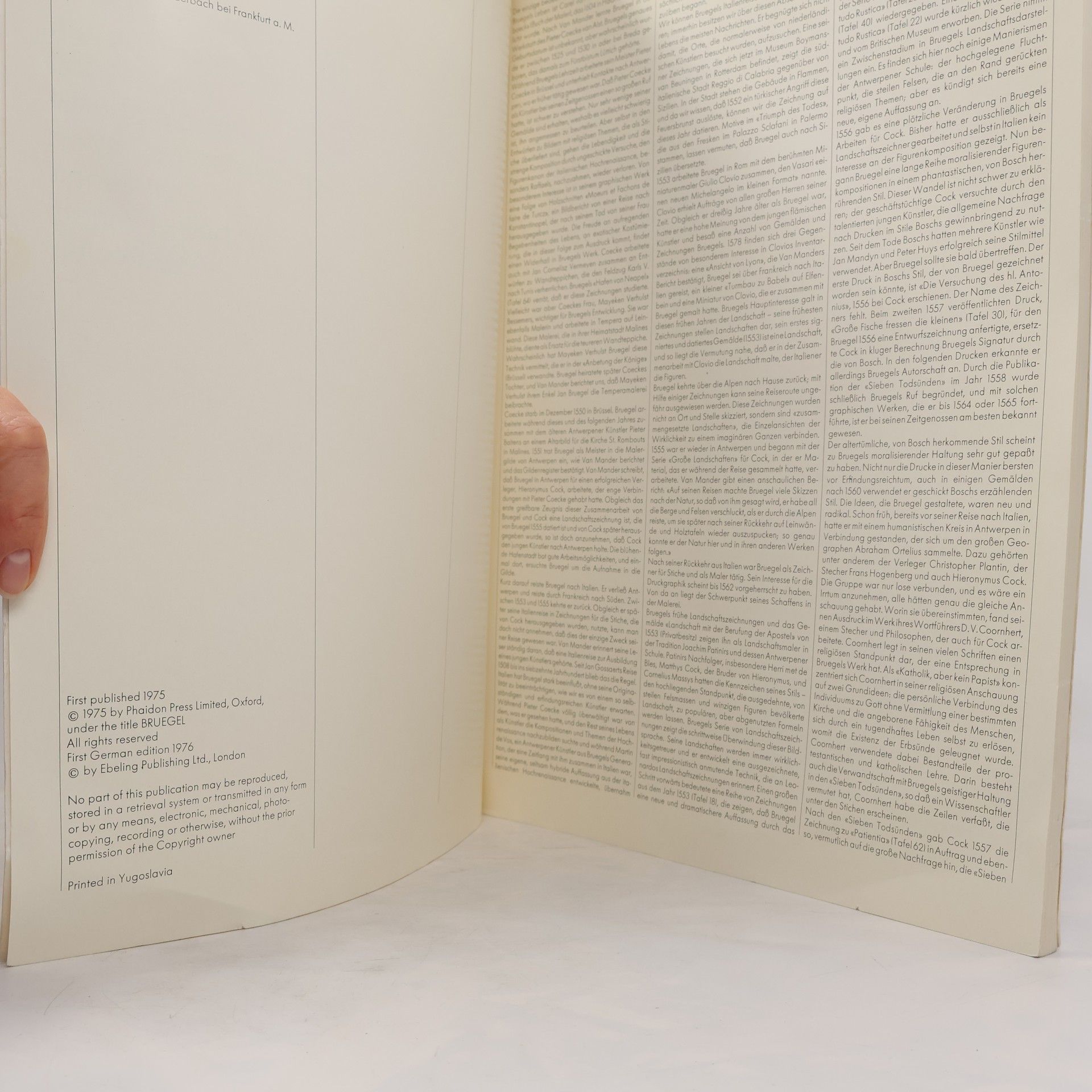Autorenkollektiv Meisterwerke im Grossformat. Bruegel