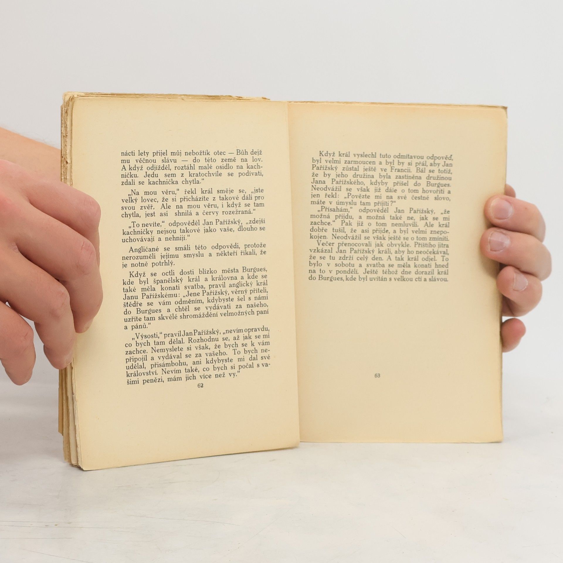 Kolektiv autorů Jan Pařížský, král francouzský