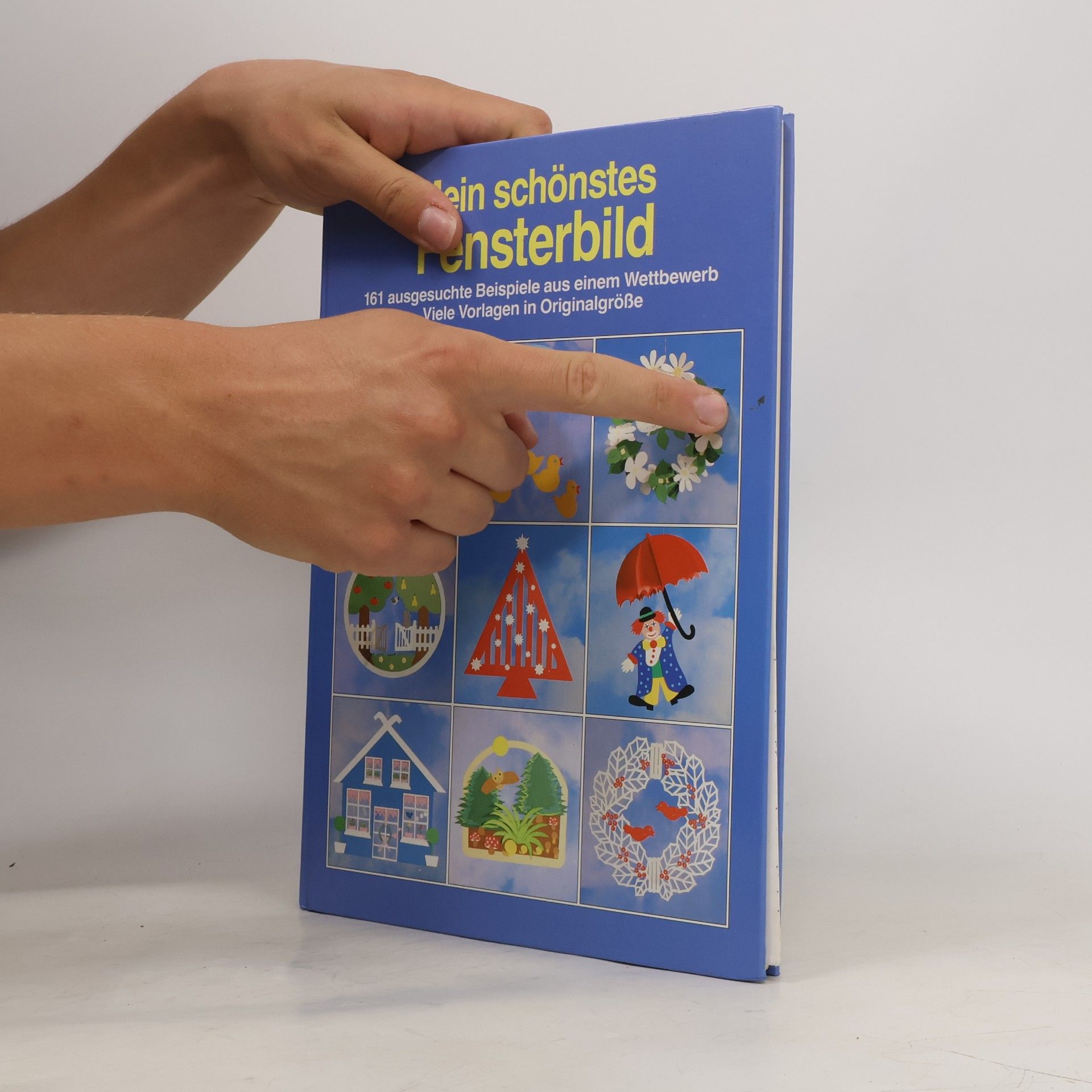Autores varios Mein schönstes Fensterbild