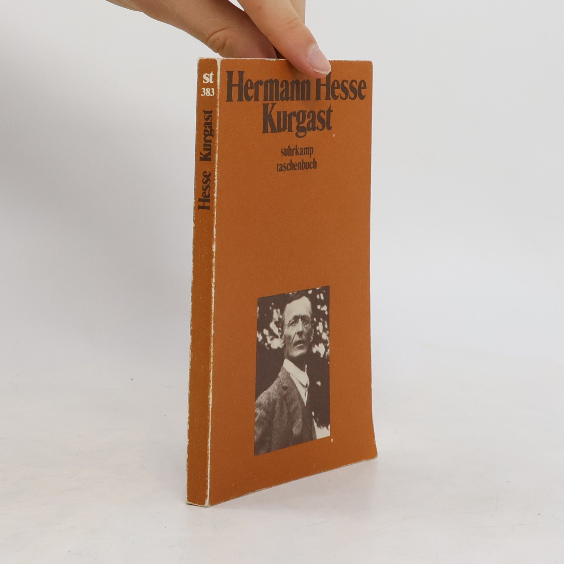 Hermann Hesse Kurgast