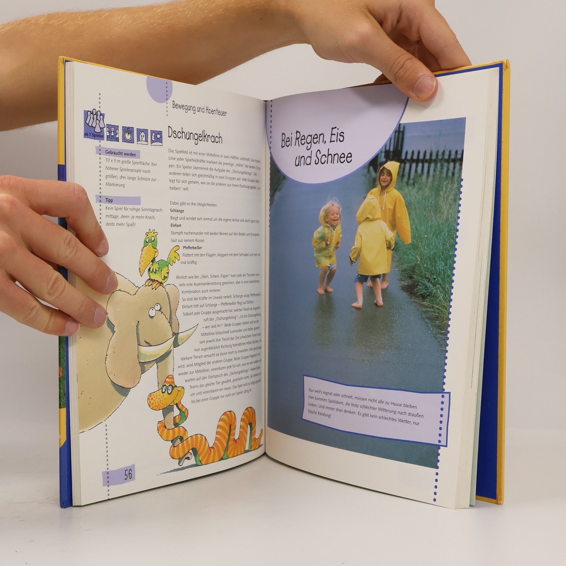 Ulrich Geißler Das große Ravensburger Spielebuch