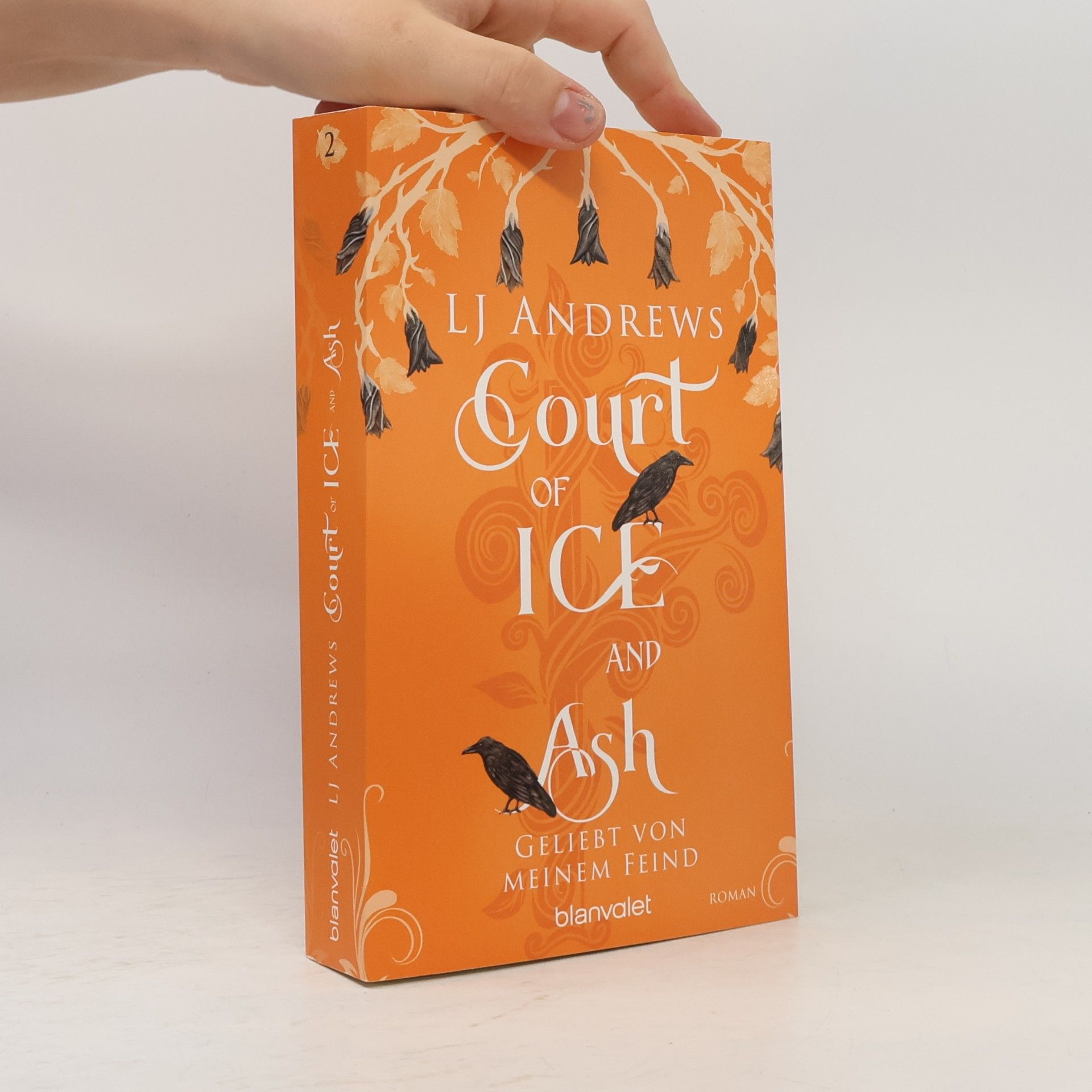 L. J. Andrews Court of Ice and Ash - Geliebt von meinem Feind