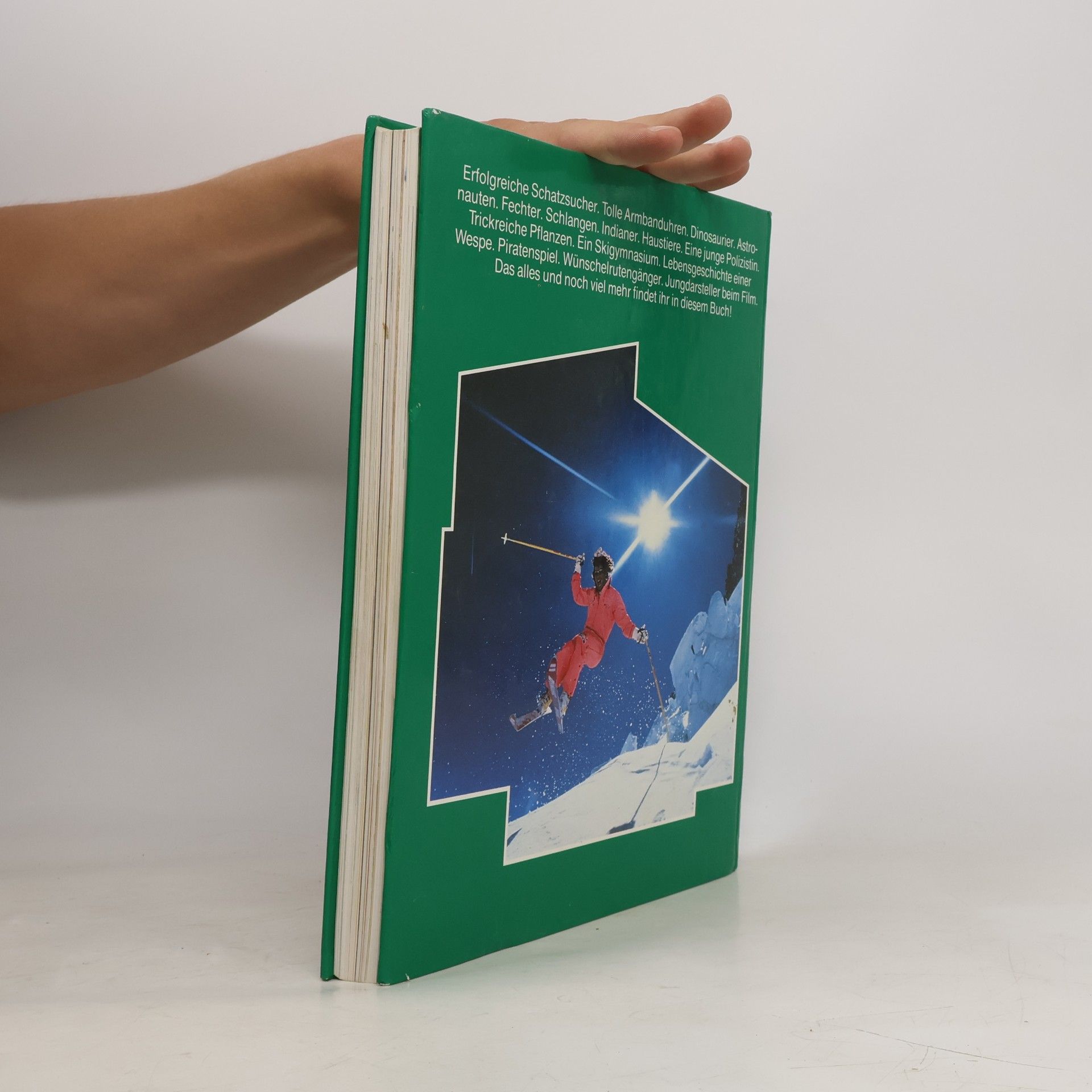 Autores varios Das grosse Jugendbuch