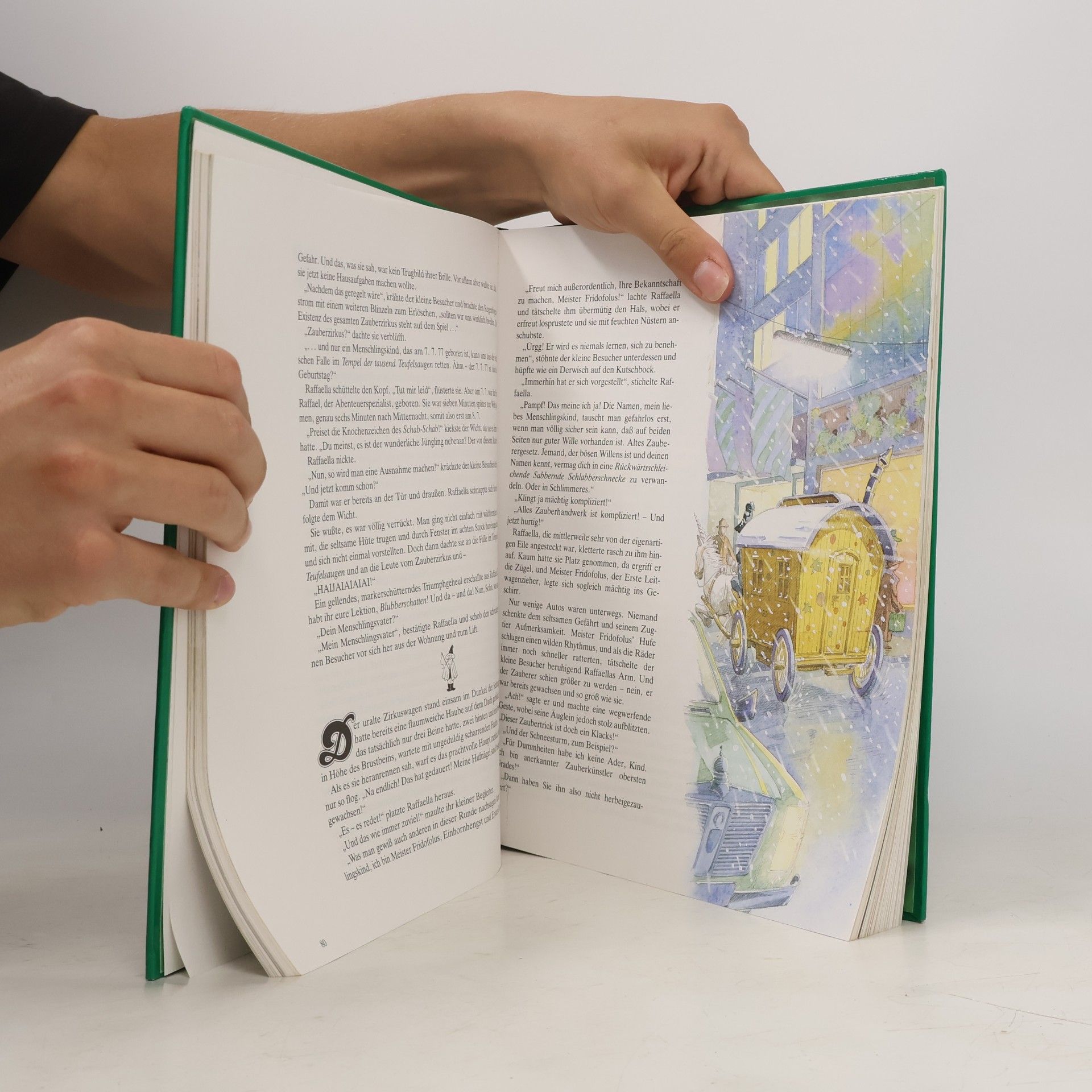 Autores varios Das grosse Jugendbuch