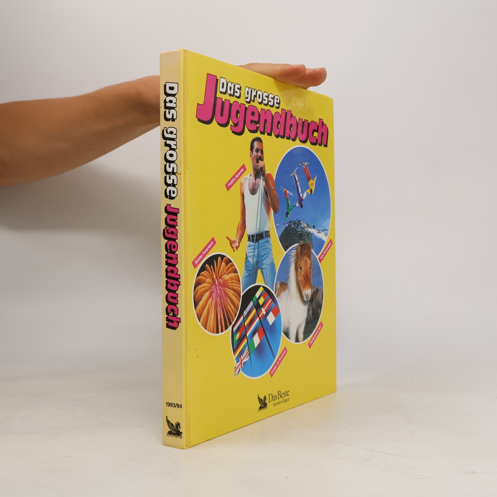 Various authors Das grosse Jugendbuch