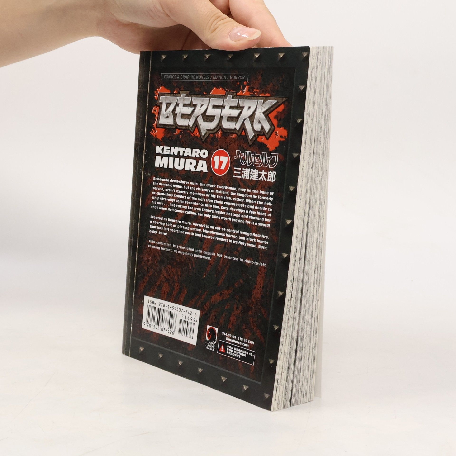 Kentaro Miura Berserk Volume 17