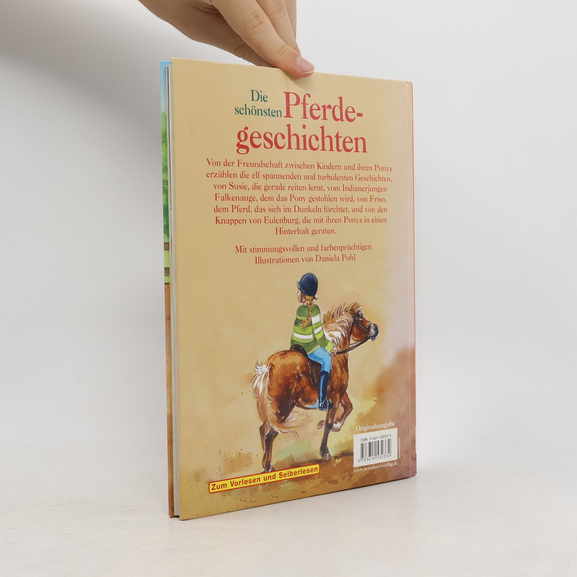 Daniela Pohle Die schönsten Pferdegeschichten