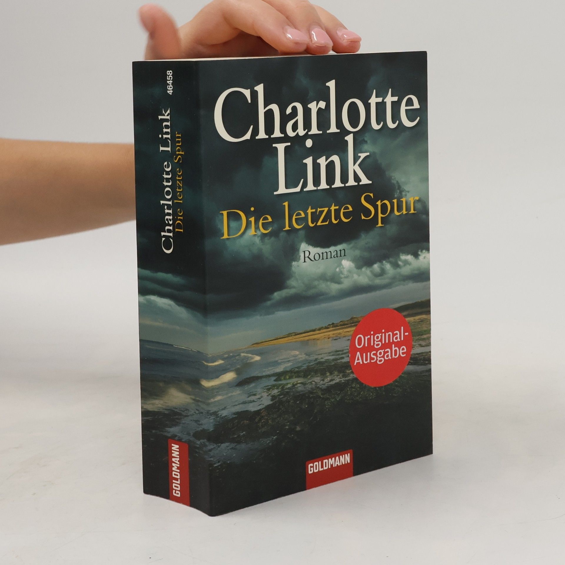 Charlotte Link Die letzte Spur