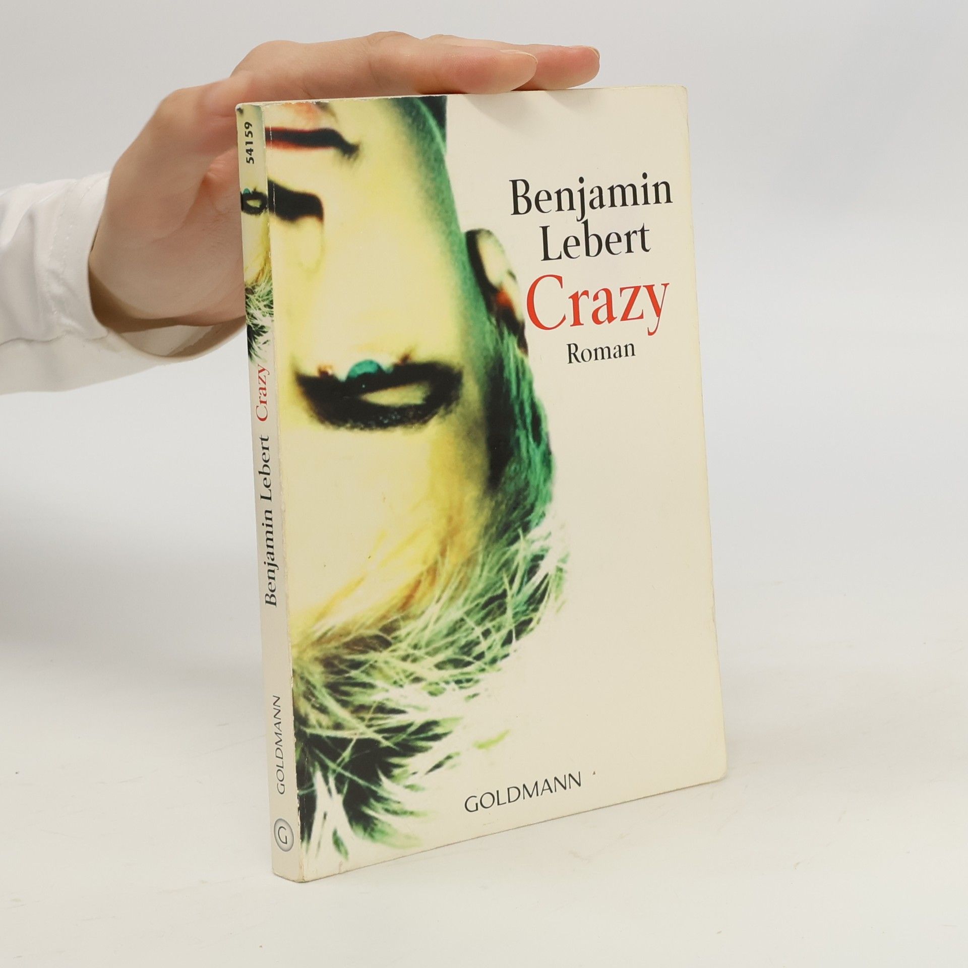Benjamin Lebert Crazy
