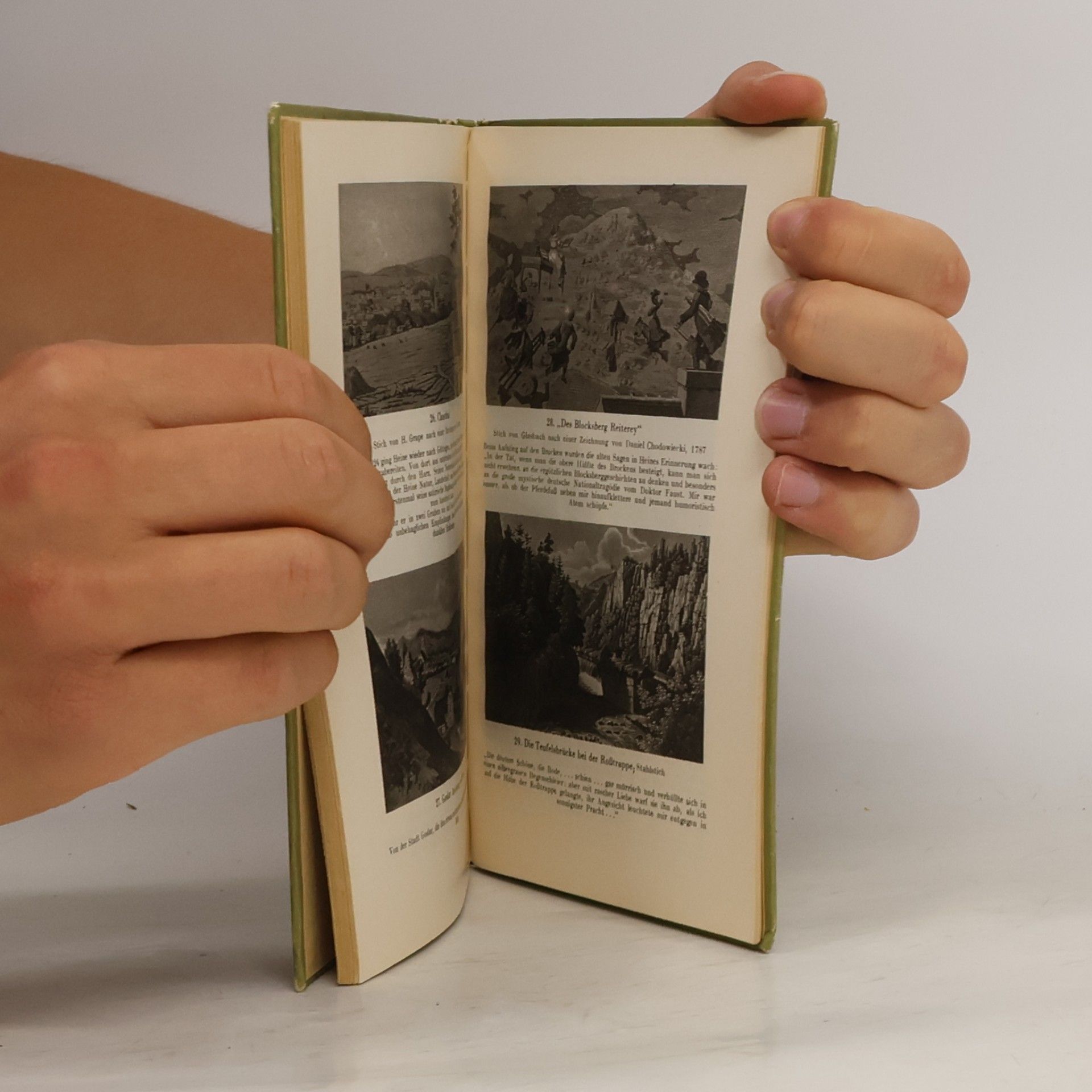 Heinrich Heine Sein Leben in Bildern