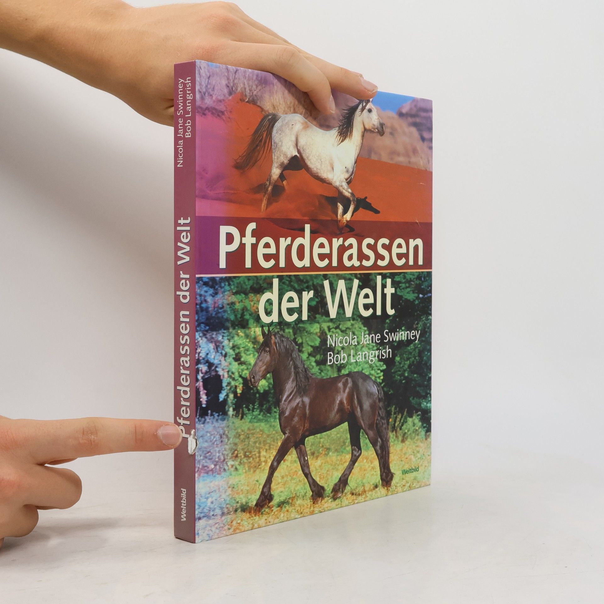 Nicola Jane Swinney Pferderassen der Welt