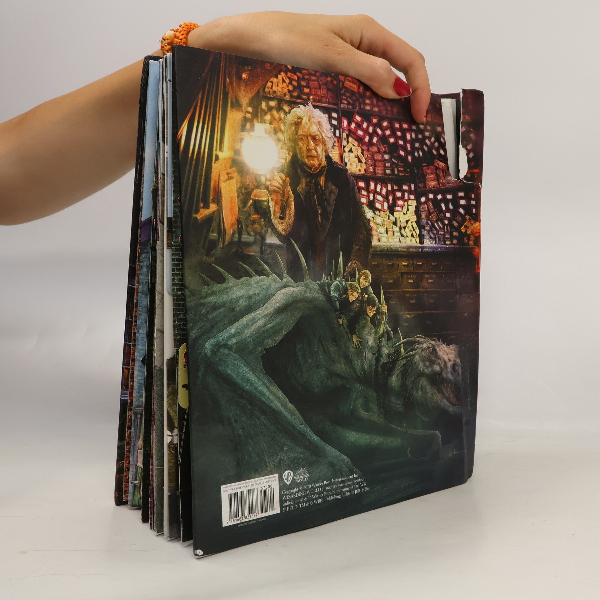 Matthew Reinhart Harry Potter: A Pop-Up Guide to Diagon Alley and Beyond
