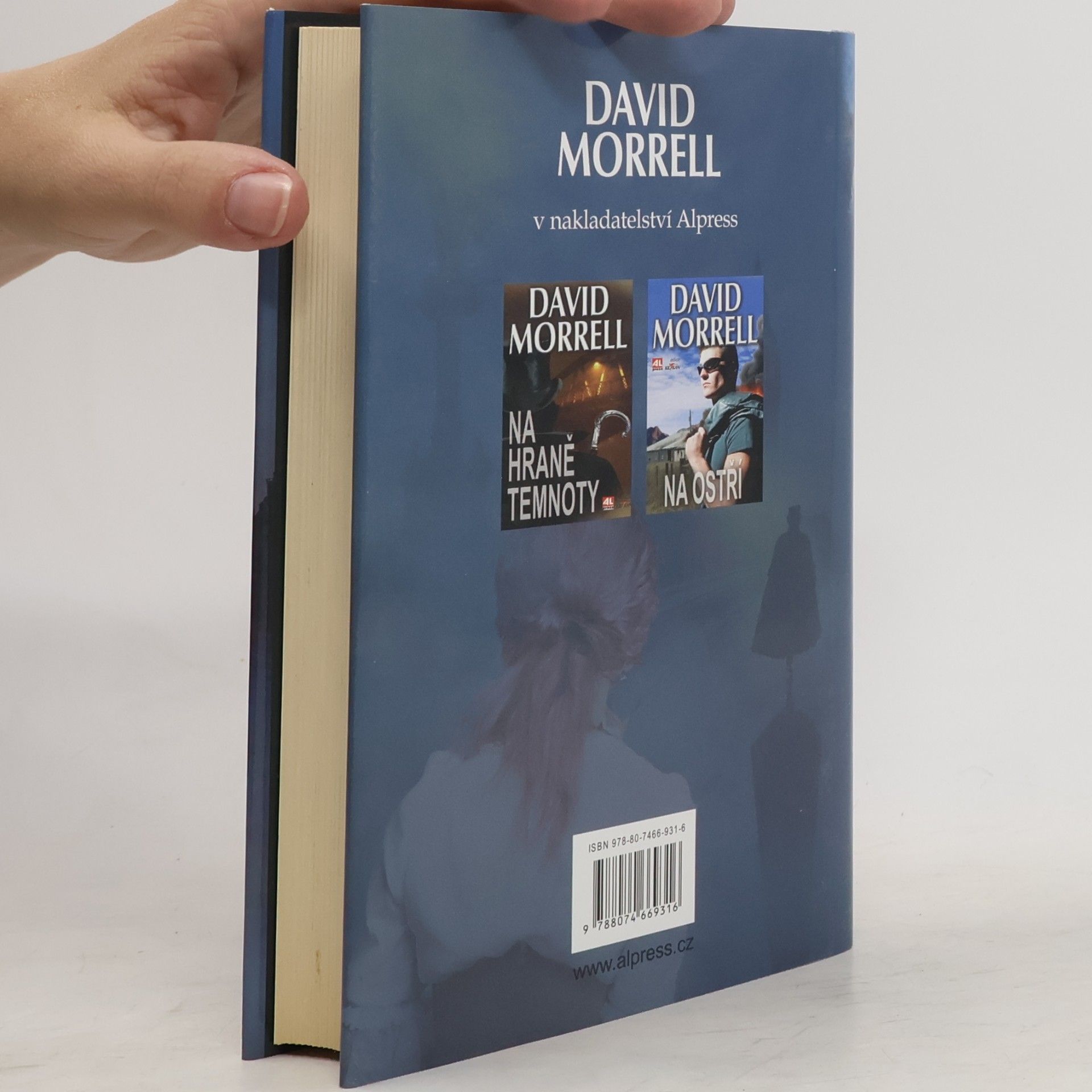 David Morrell Stopy mizí v mlze