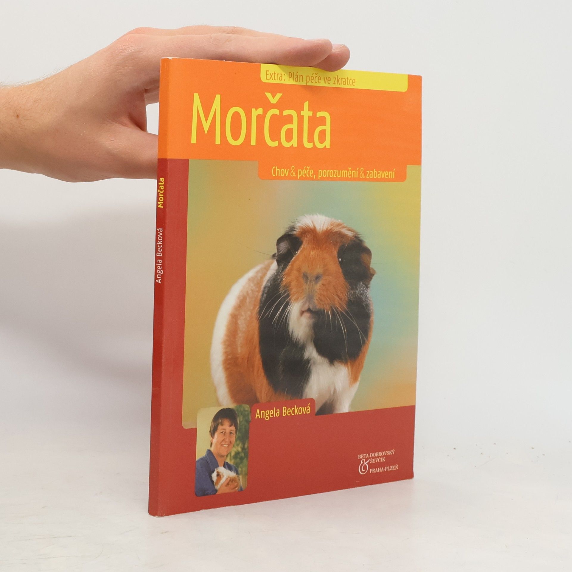 Angela Beck Morčata. Chov & péče, porozumění & zabavení