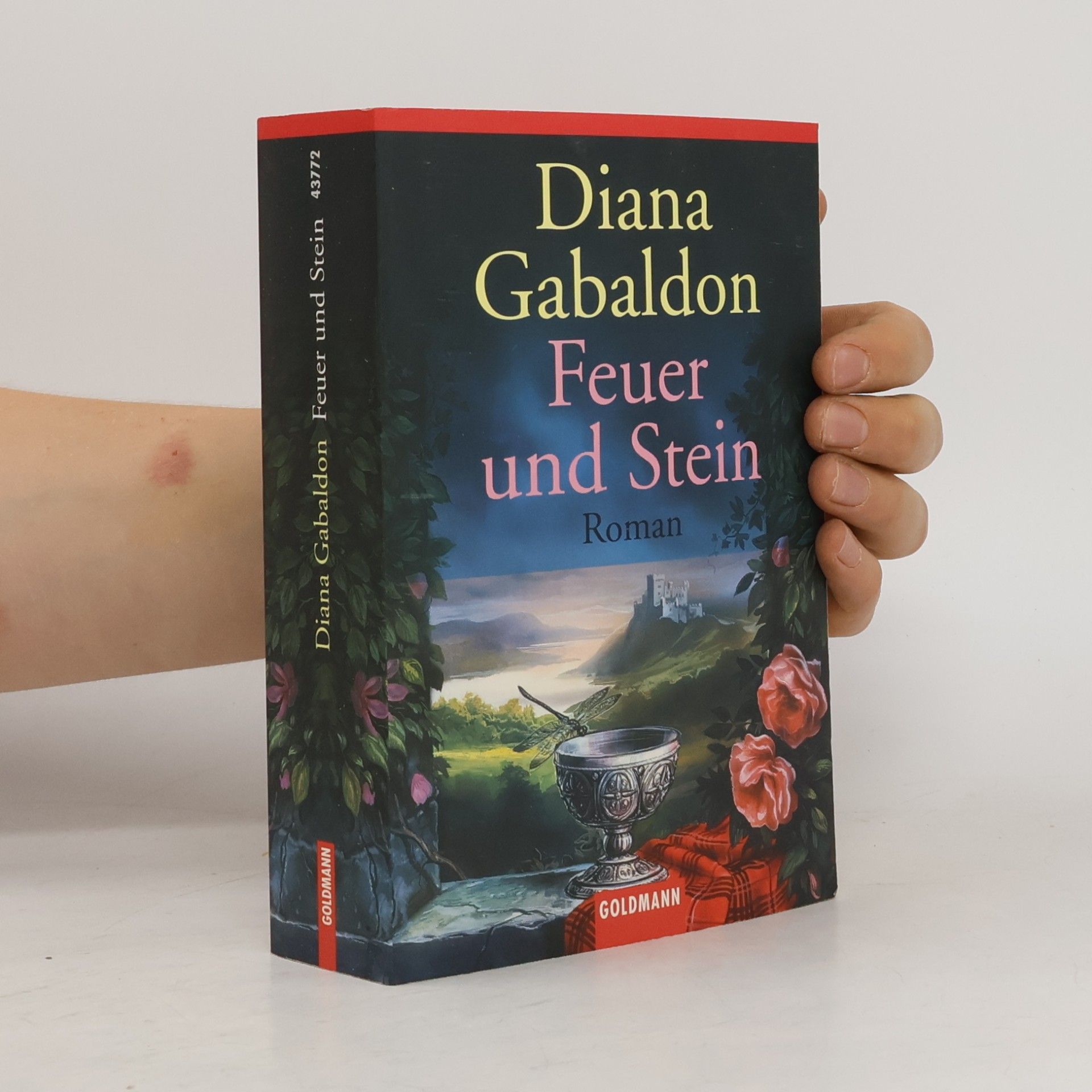 Diana Gabaldon Feuer und Stein