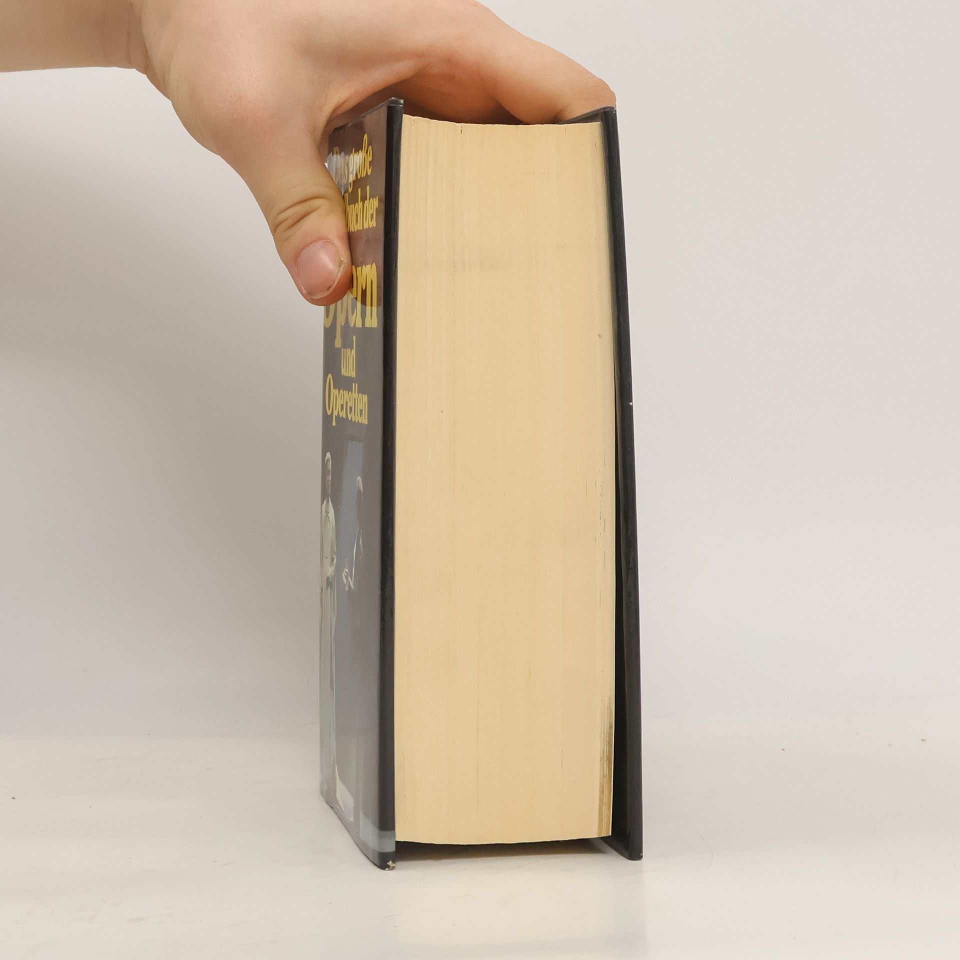 Autorenkollektiv Das grosse Handbuch der Opern und Operetten