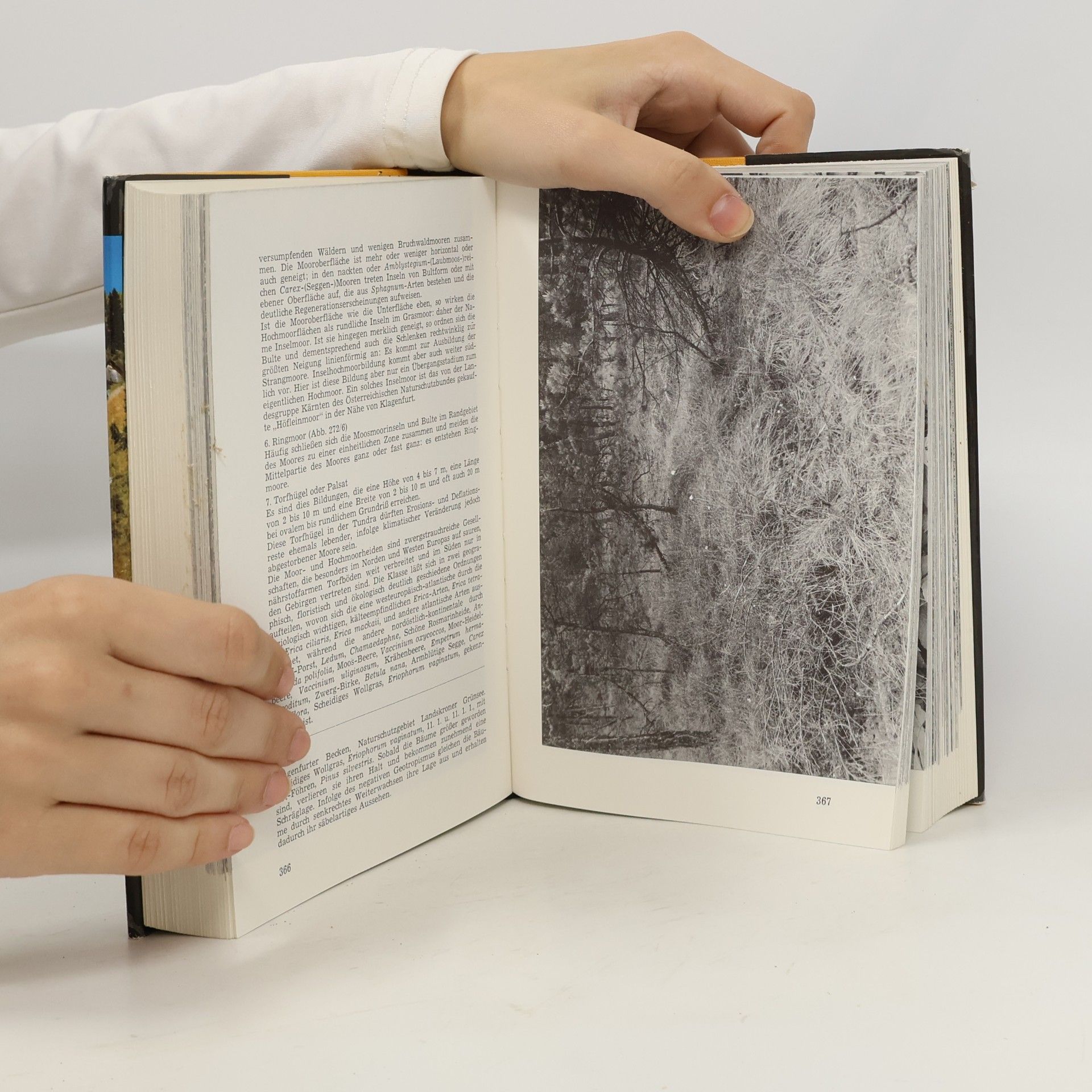 Hans Bach Kärntner Naturschutz-Handbuch II