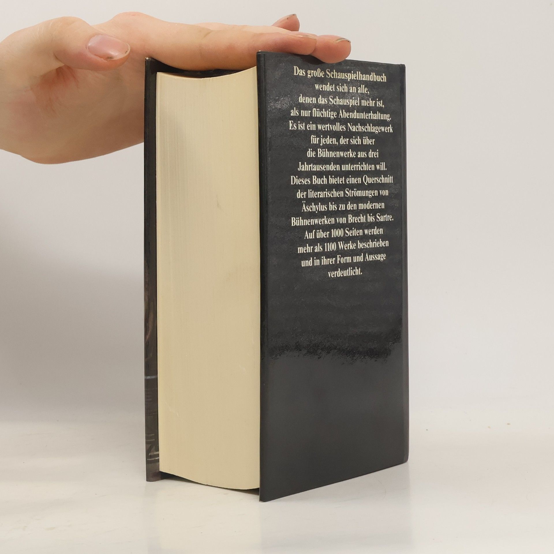 Autorenkollektiv Das grosse Schauspielhandbuch