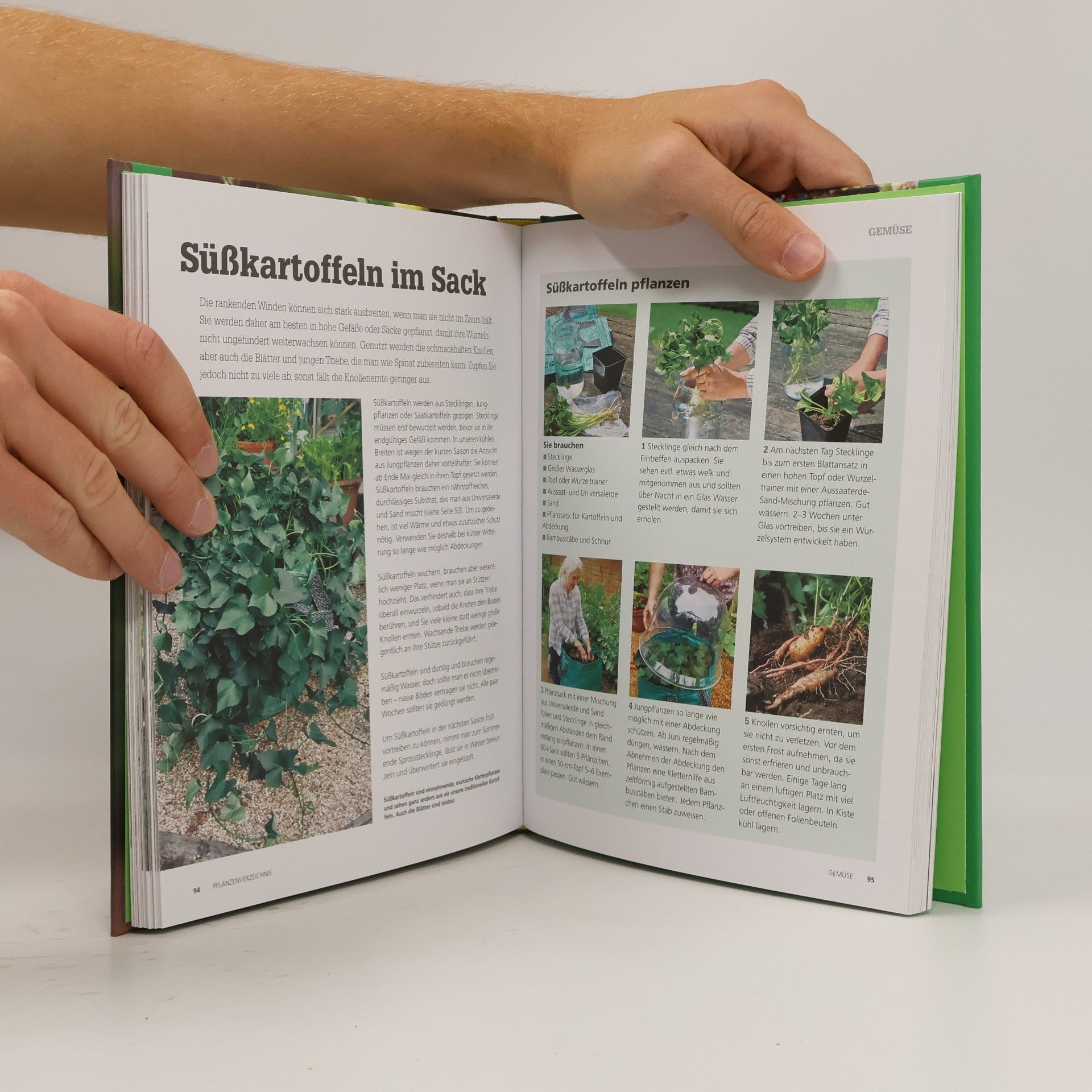 Kay Maguire Frische Ernte ohne Garten