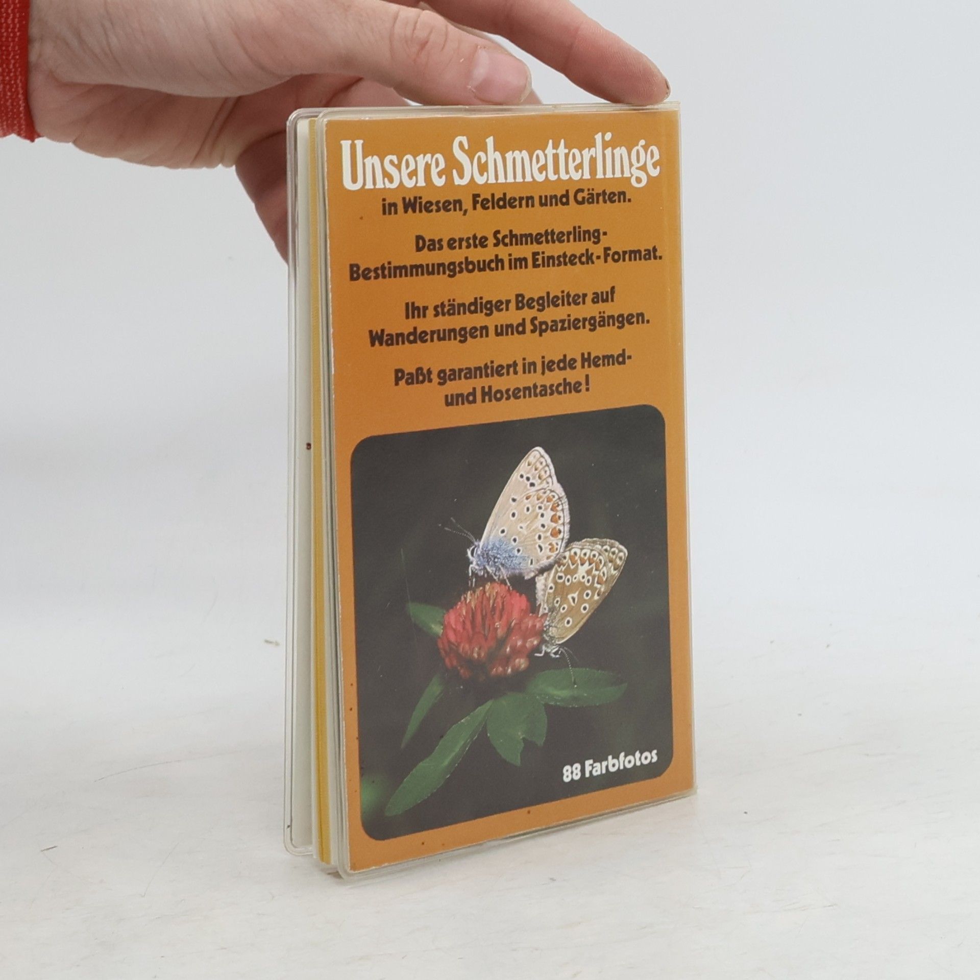 Autorenkollektiv Schmetterlinge Kompass